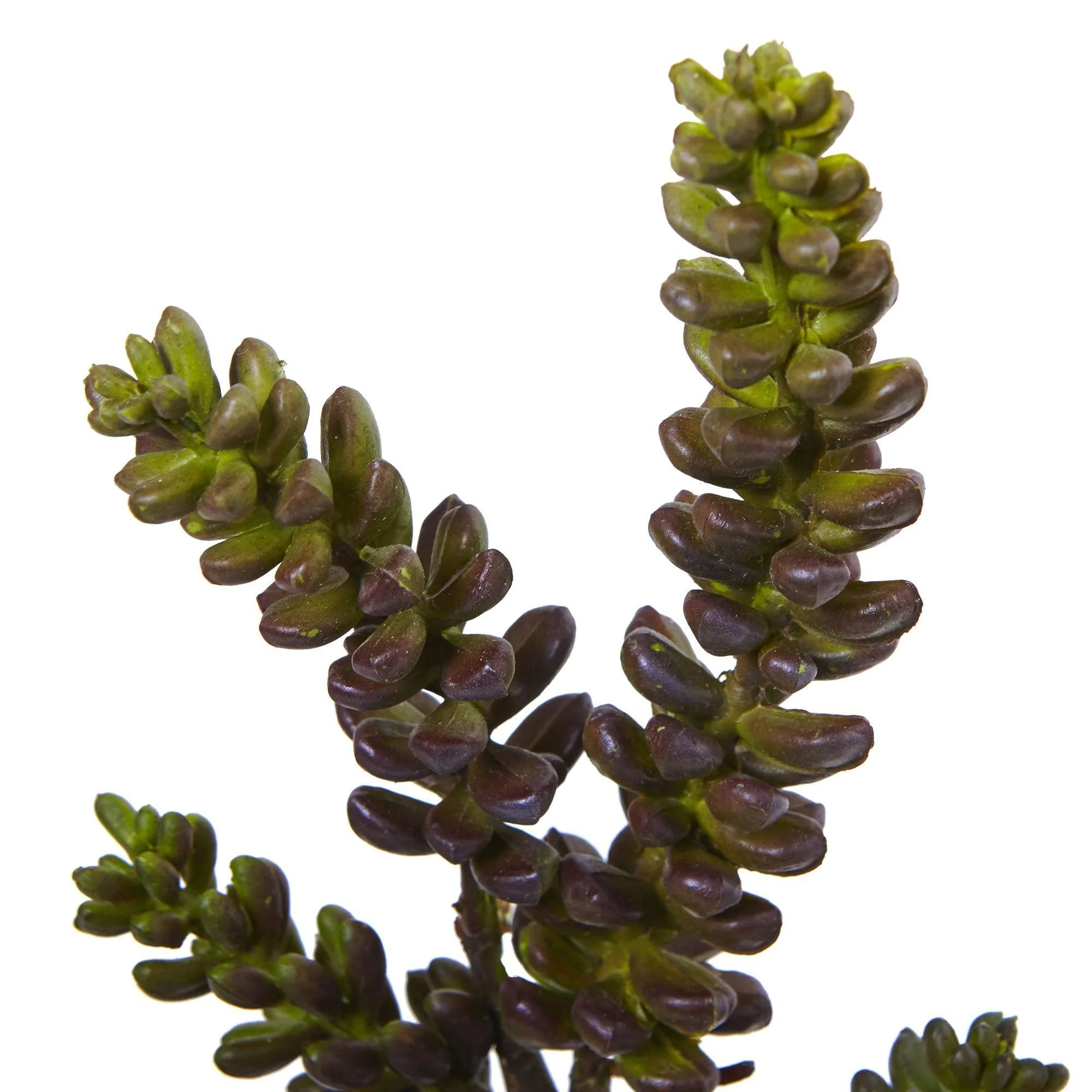 13” Succulent Artificial Flower (Set of 12) - Image 2