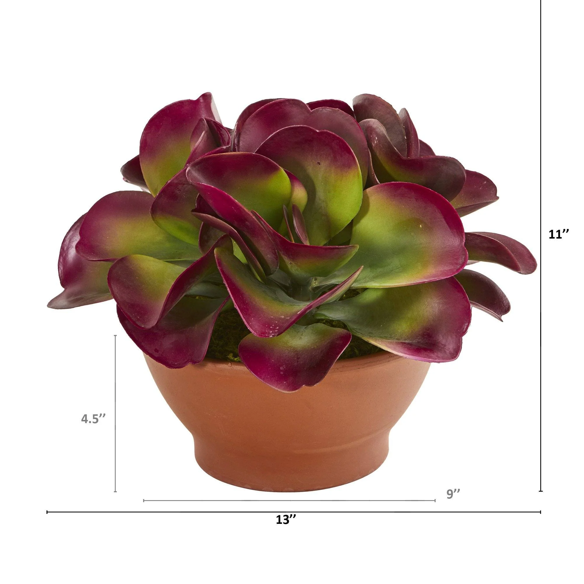 13” Succulent Artificial Plant in Terra-Cotta Planter - Image 2