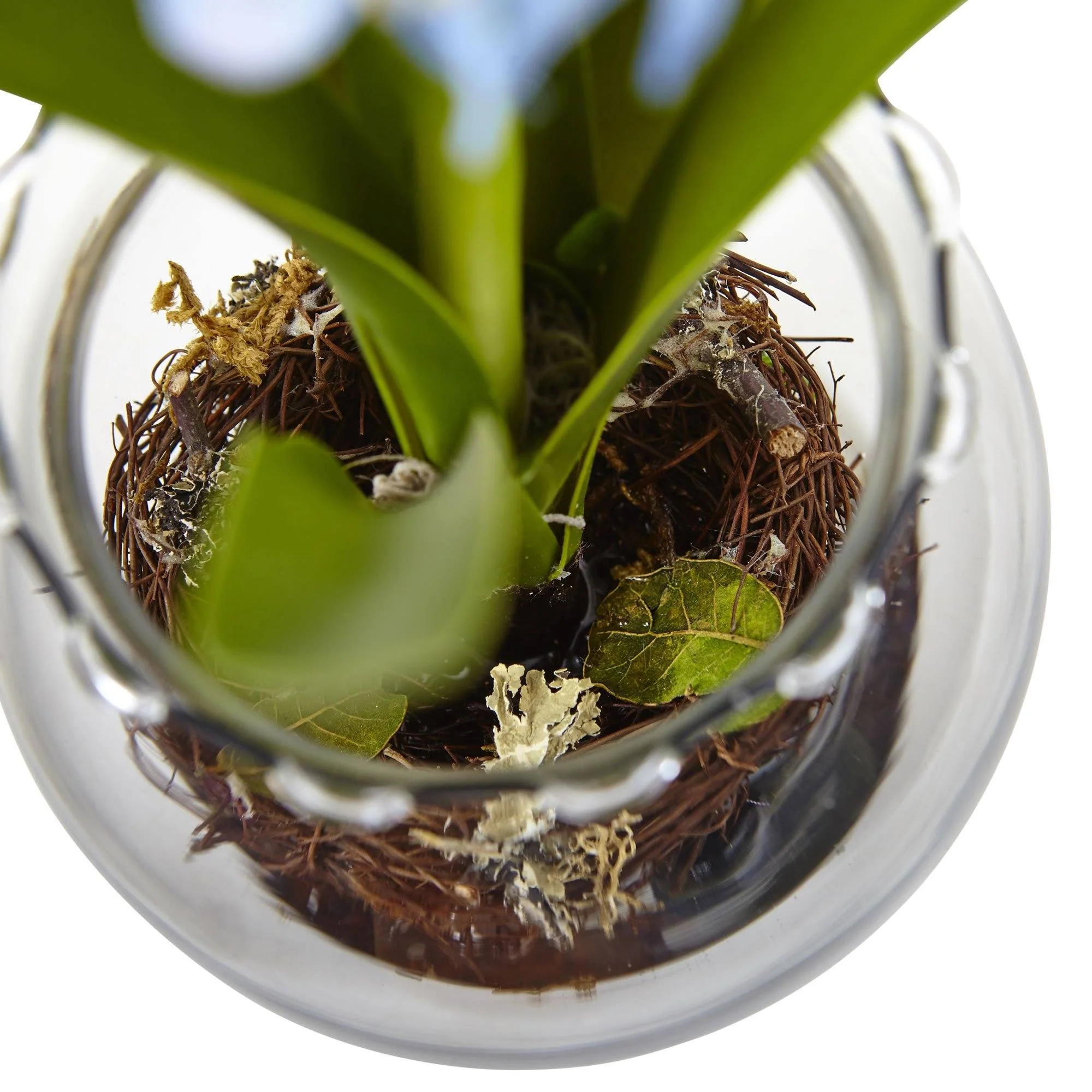 Hyacinth & Birds Nest w/Vase - Image 2
