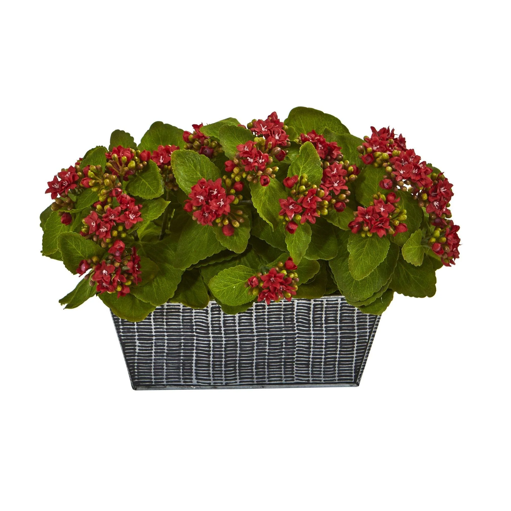 14” Kalanchoe Artificial Plant in Black Embossed Planter - Image 5