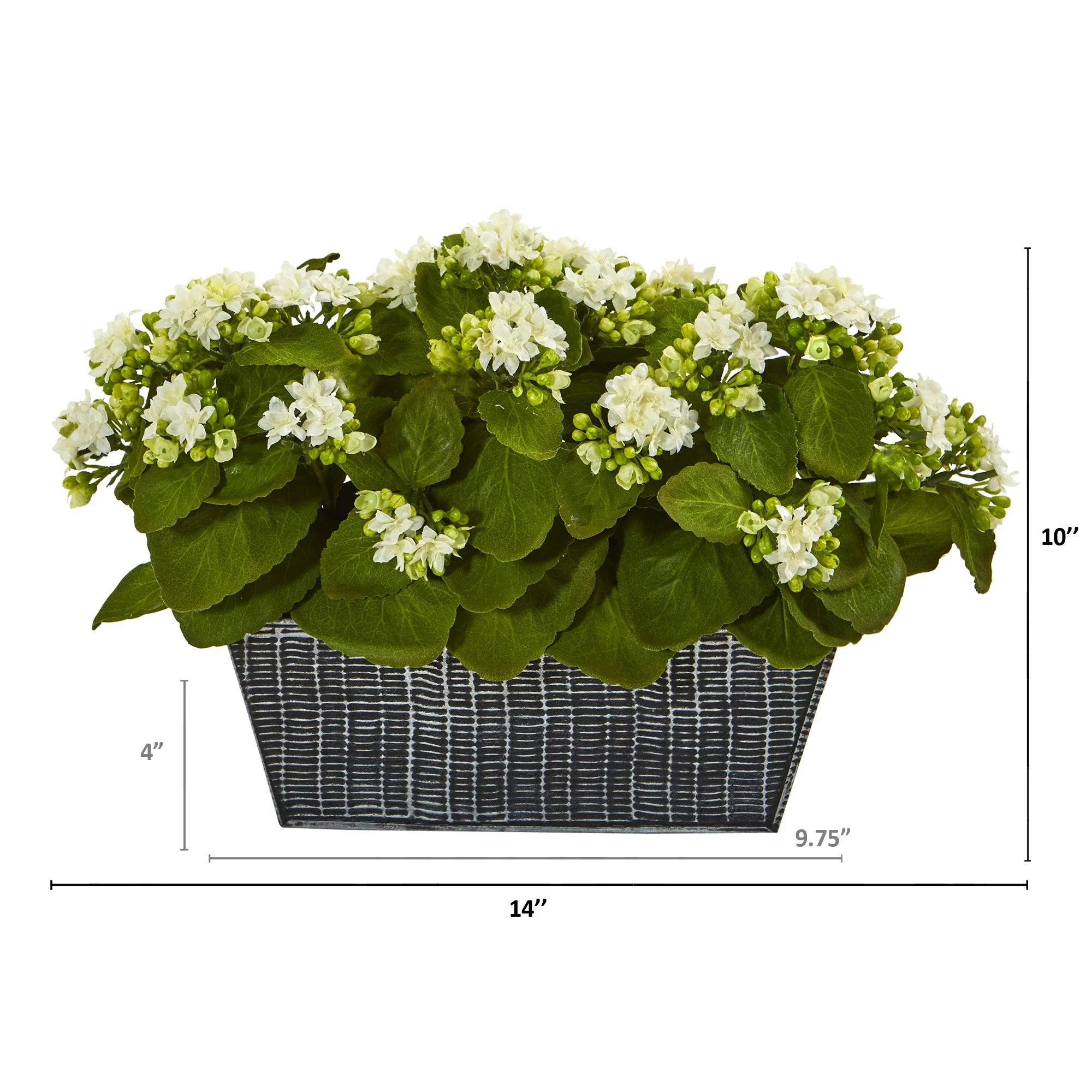 14” Kalanchoe Artificial Plant in Black Embossed Planter - Image 8