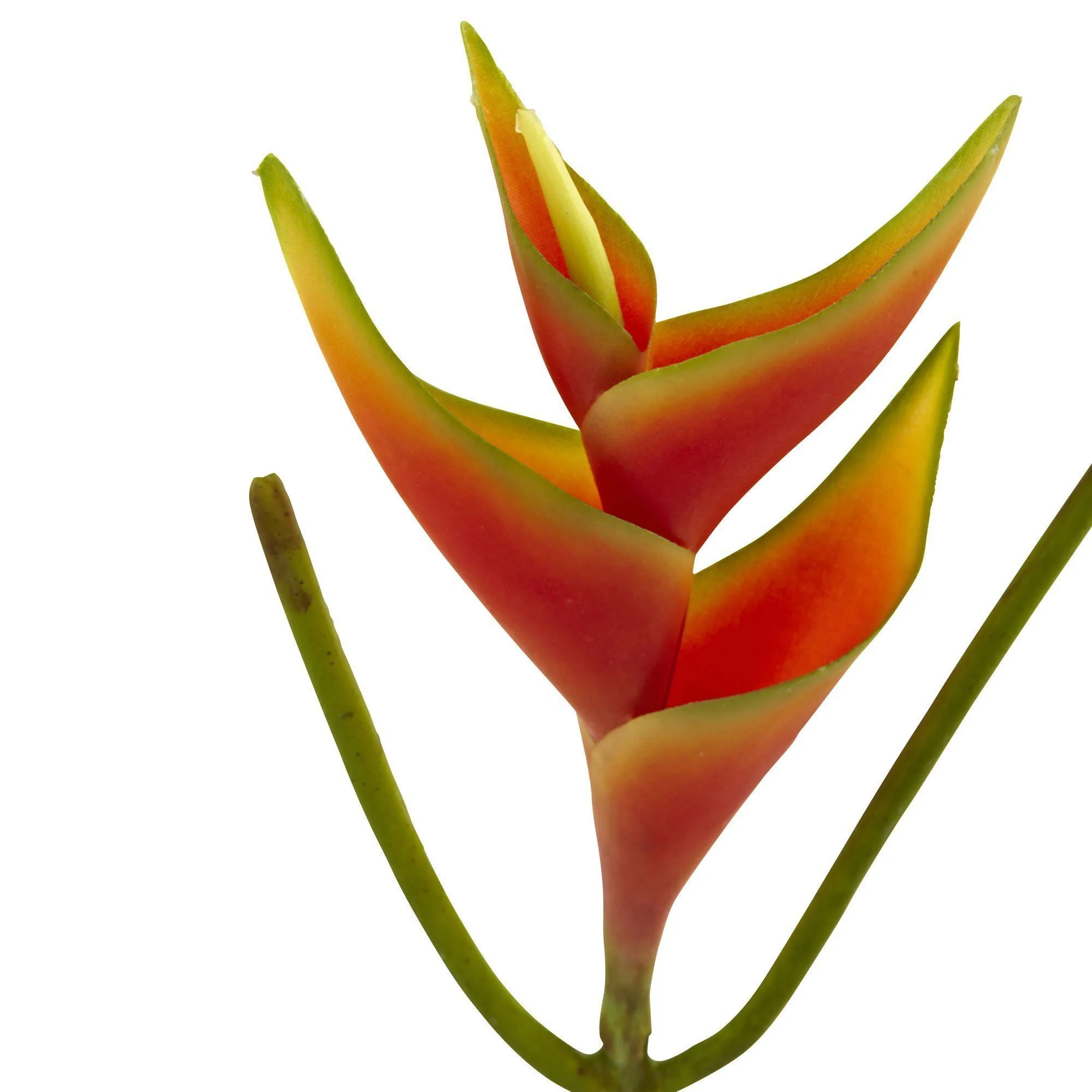 14’’ Mini Heliconia Artificial Flower (Set of 6) - Image 3