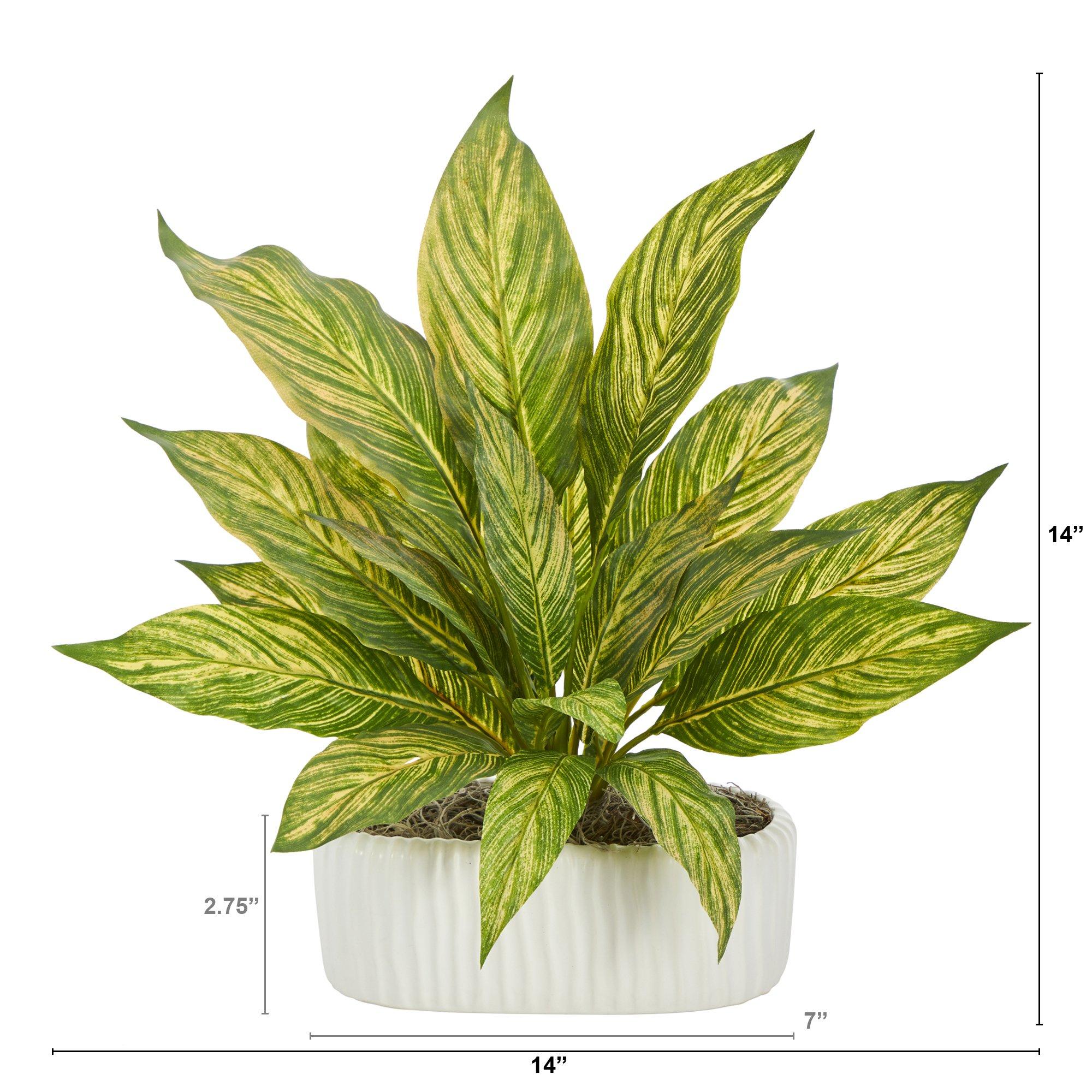 14” Musa Artificial Plant in White Planter - Image 2