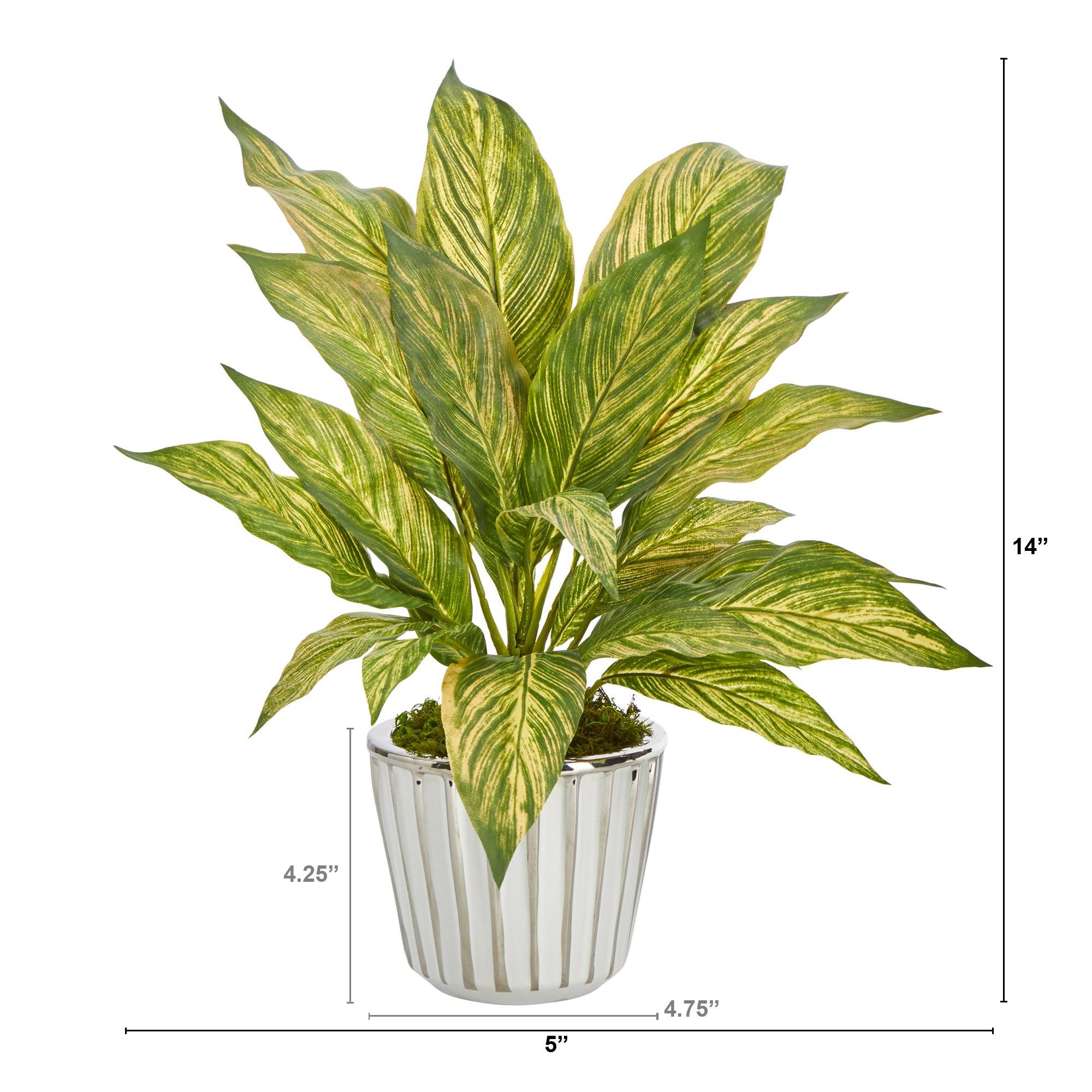 14” Musa Leaf Artificial Plant in White Planter with Silver Trimming - Image 2