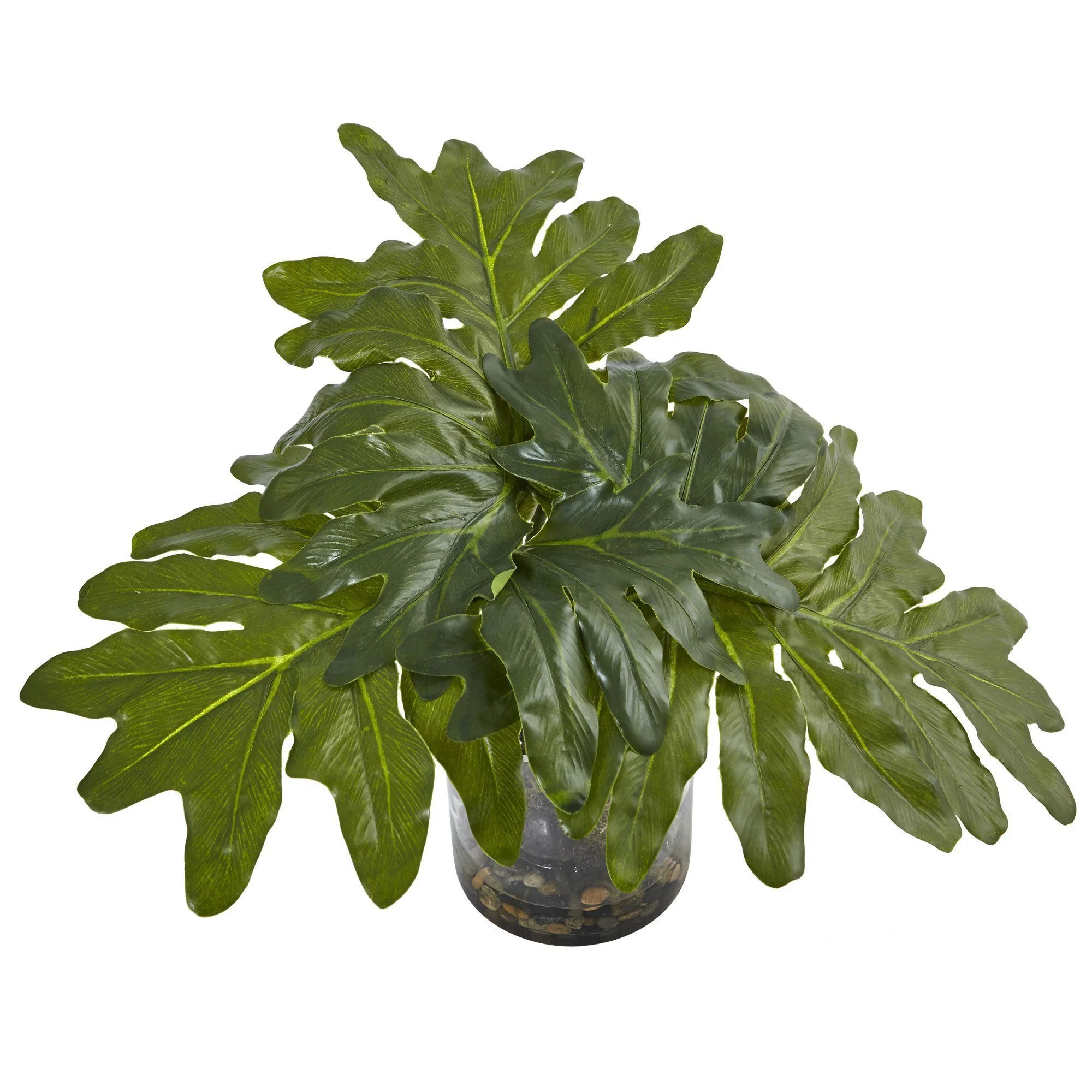 Philodendron Arrangement with Vase - Image 2