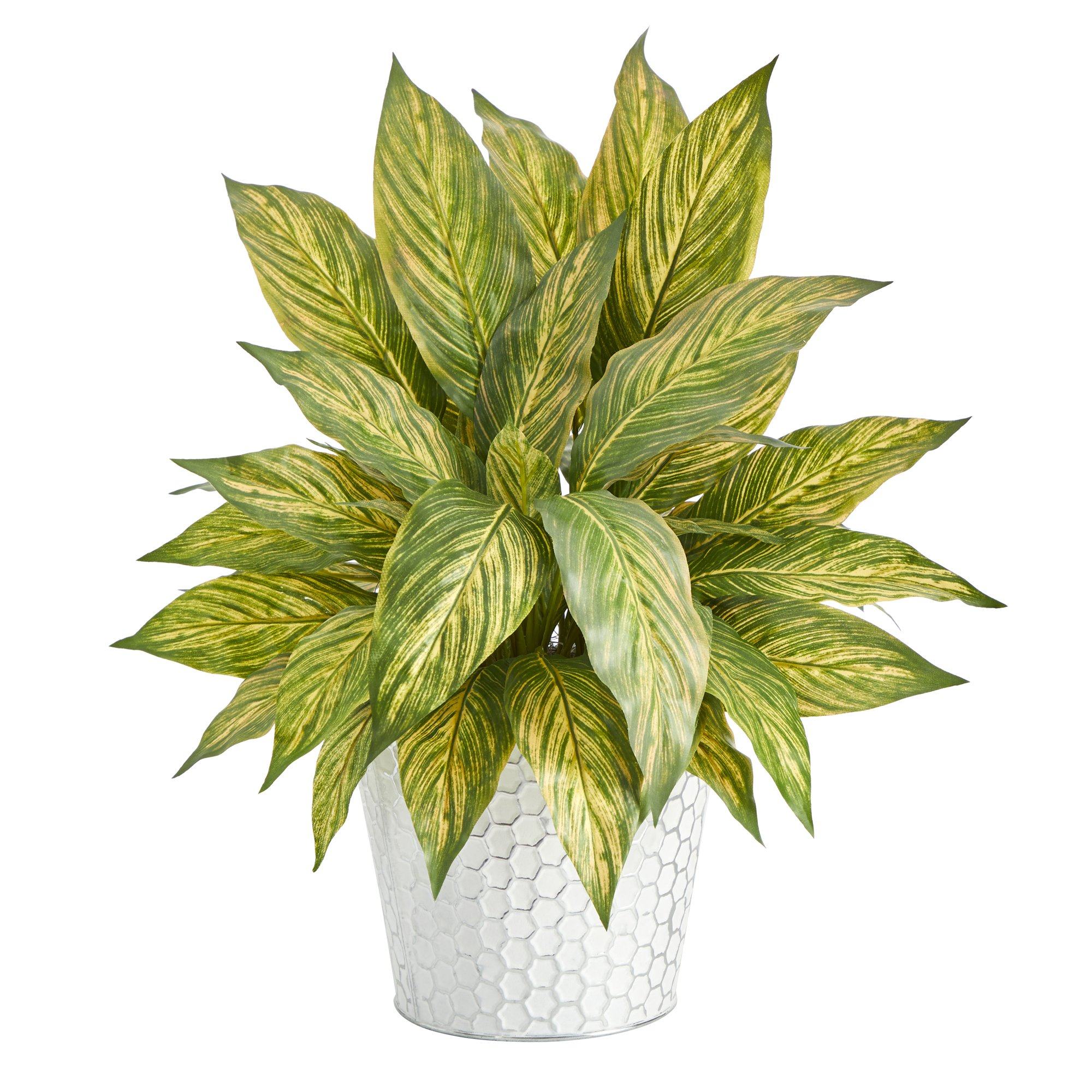 15” Musa Leaf Artificial Plant in Embossed White Planter - Image 5
