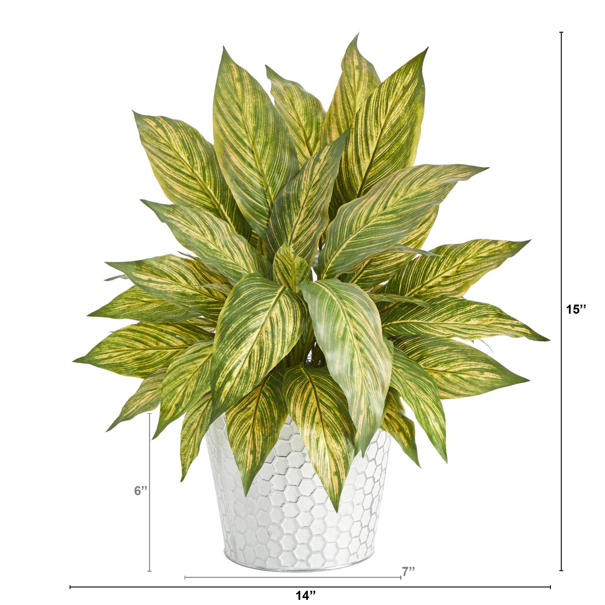 15” Musa Leaf Artificial Plant in Embossed White Planter - Image 6
