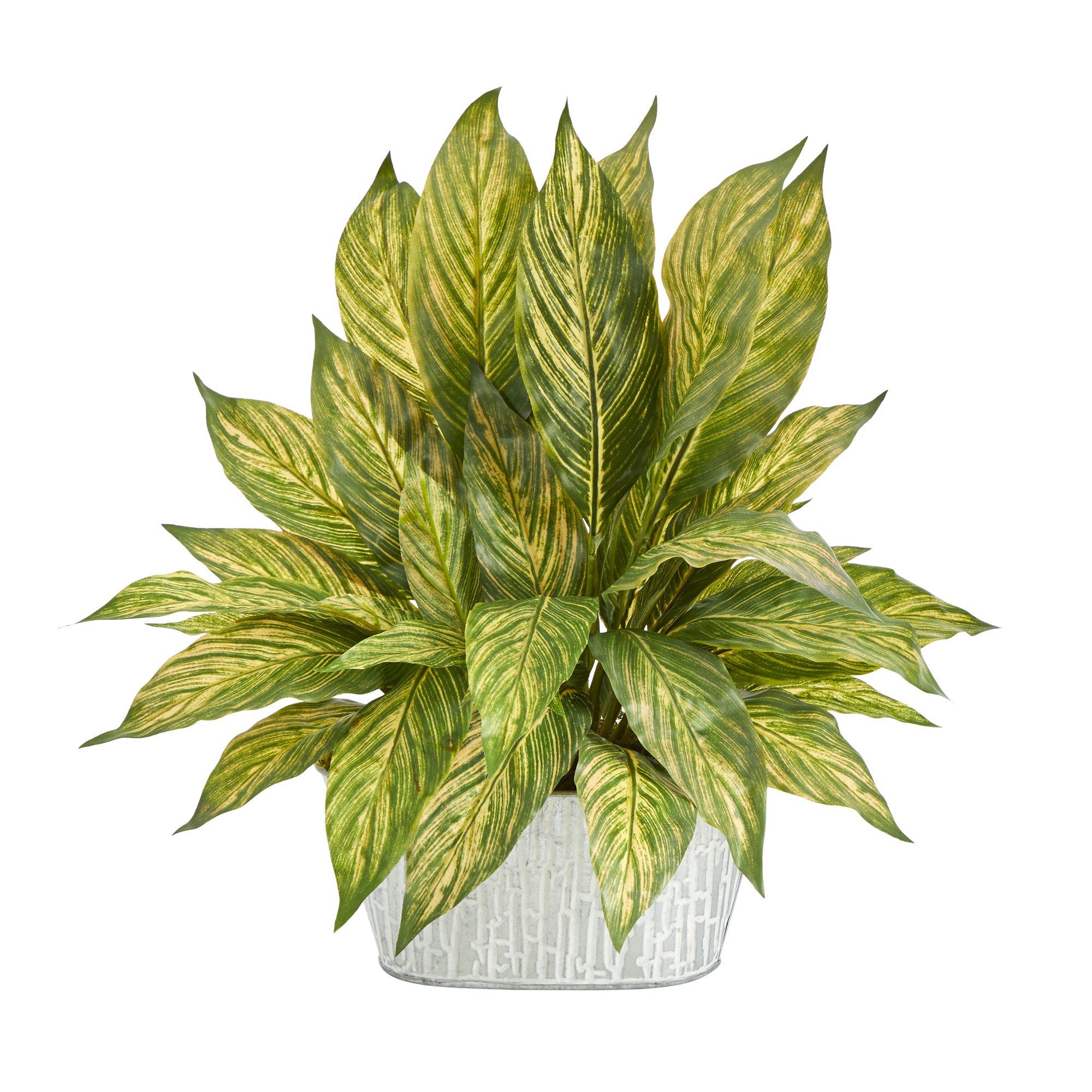 15” Musa Leaf Artificial Plant in White Tin Planter - Image 3