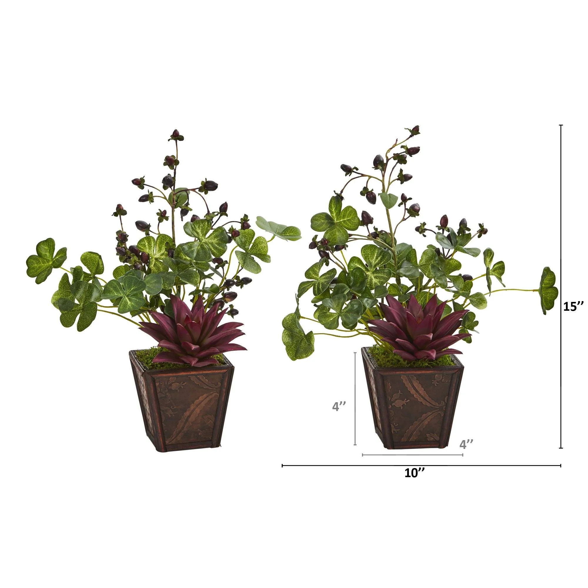 15” Succulent, Clover and Coffee Leaf Artificial Plant in Decorative Planter (Set of 2) - Image 2