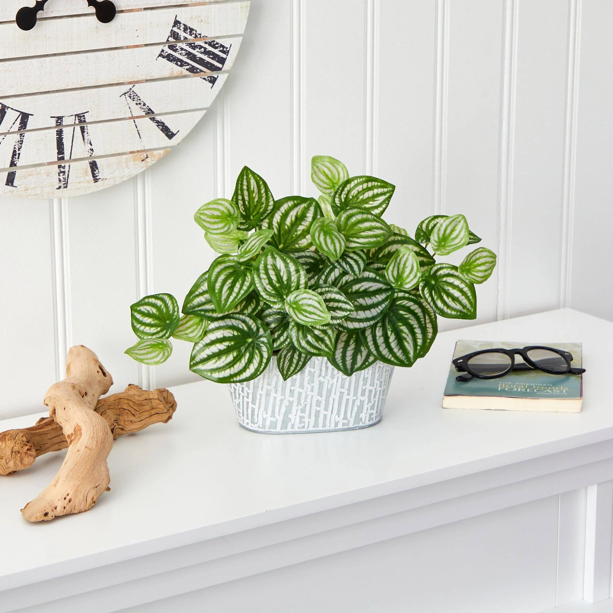 15” Watermelon Peperomia Artificial Plant in White Tin Planter (Real Touch) - Image 3