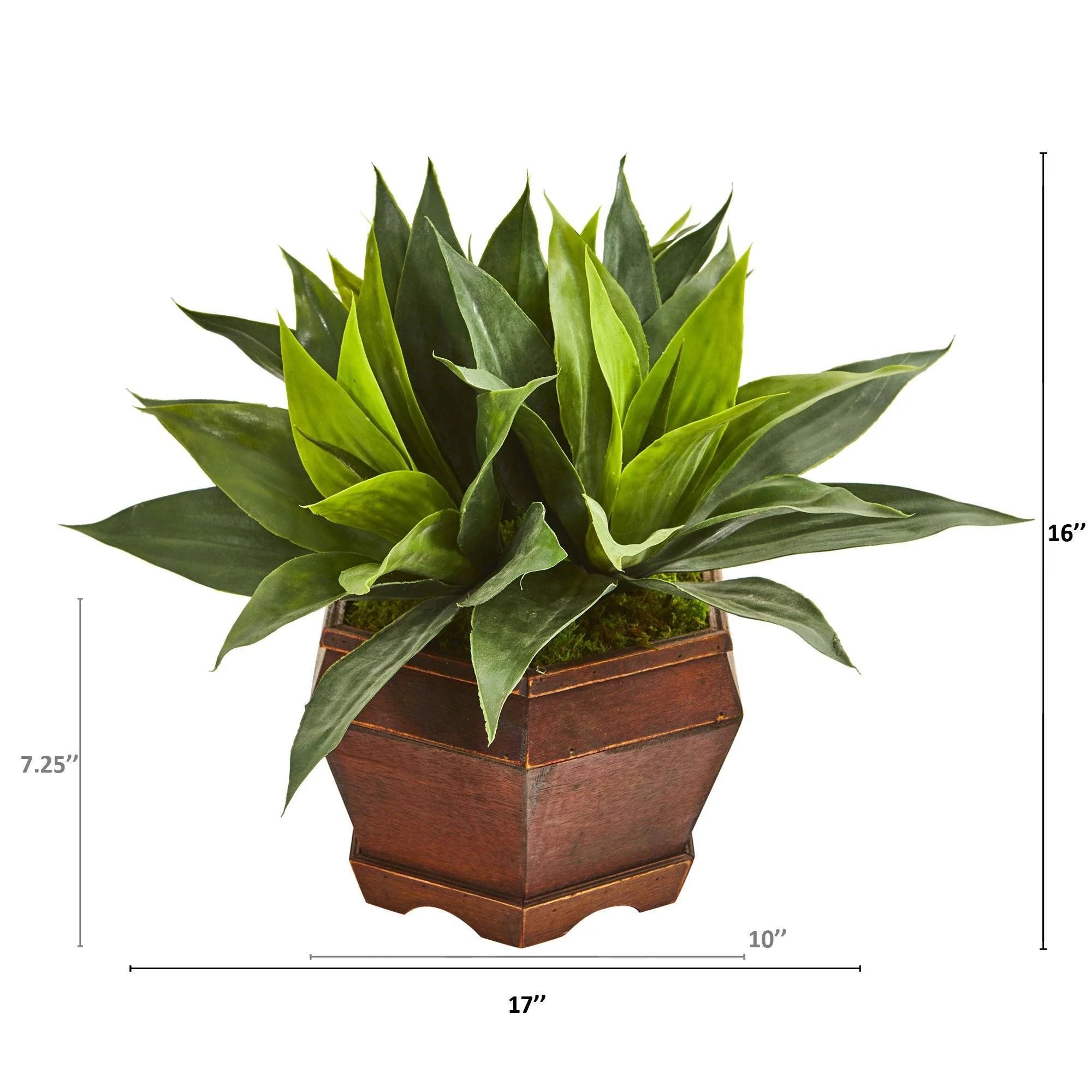 16” Agave Succulent Artificial Plant in Decorative Planter - Image 2