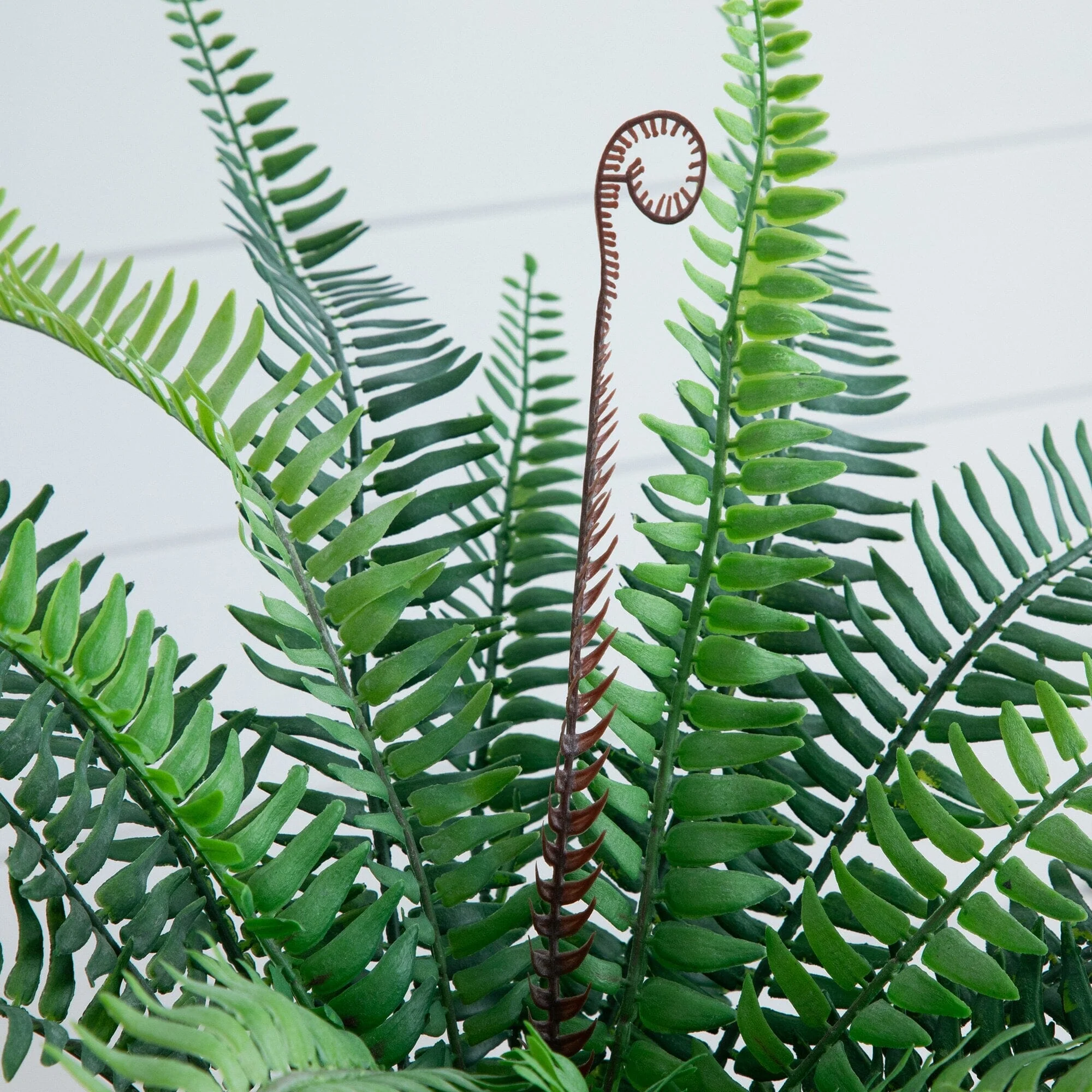 16” Artificial Boston Fern Plant in Decorative Cement Planter - Image 3