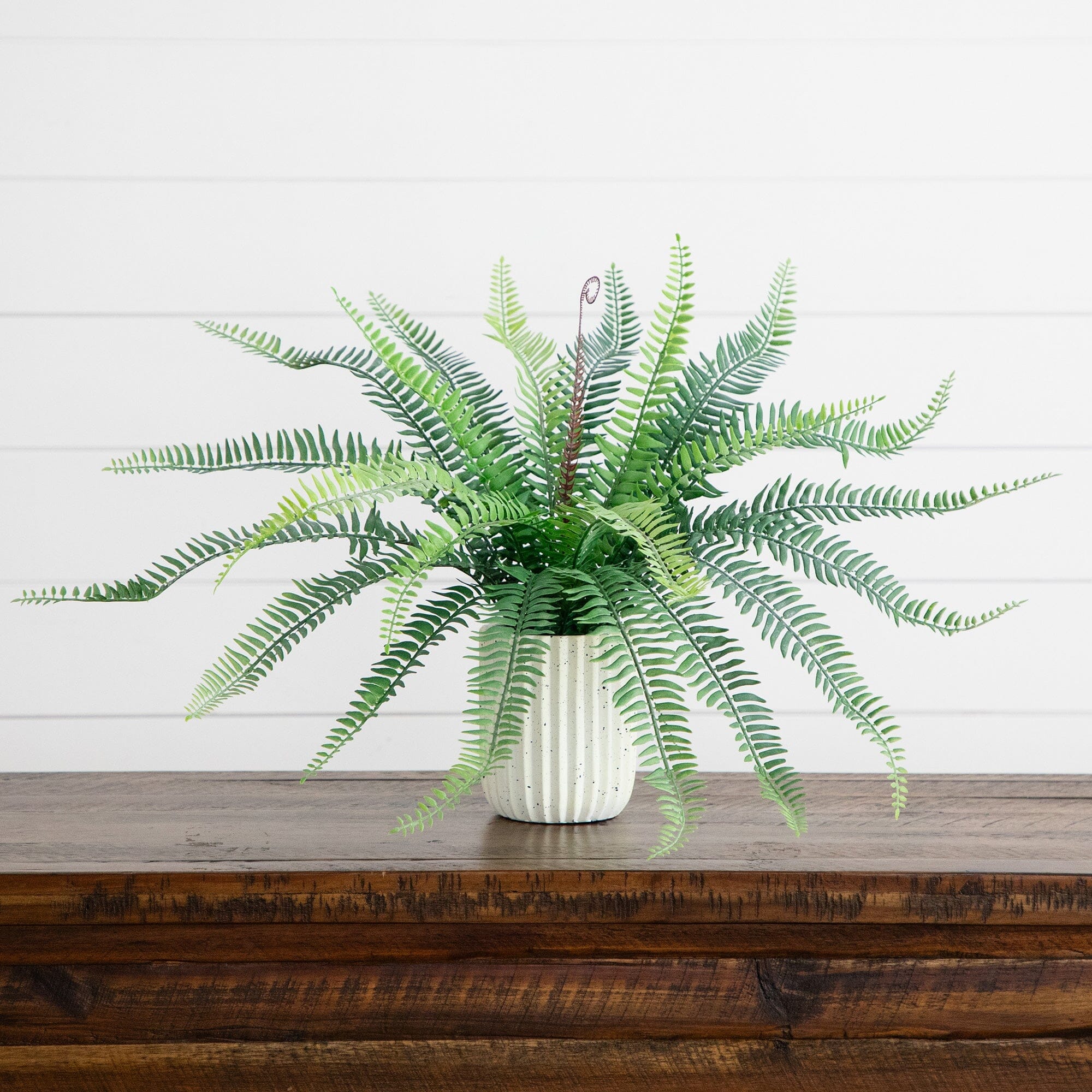 16” Artificial Boston Fern Plant in Decorative Cement Planter - Image 4