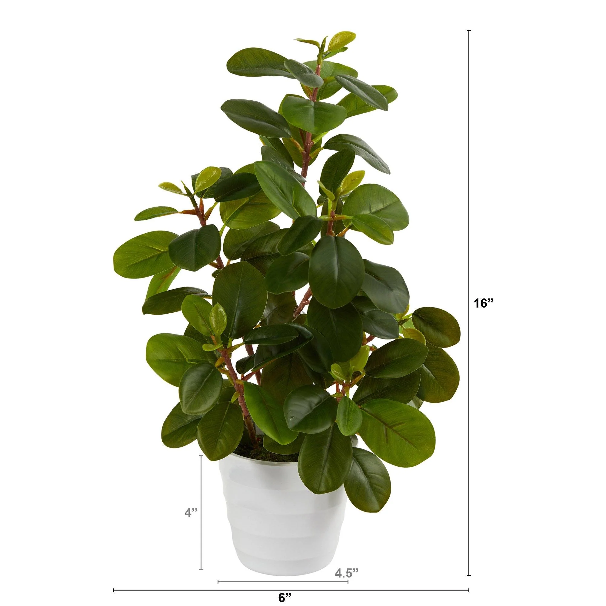 16” Peperomia Artificial Plant in Decorative Planter - Image 2
