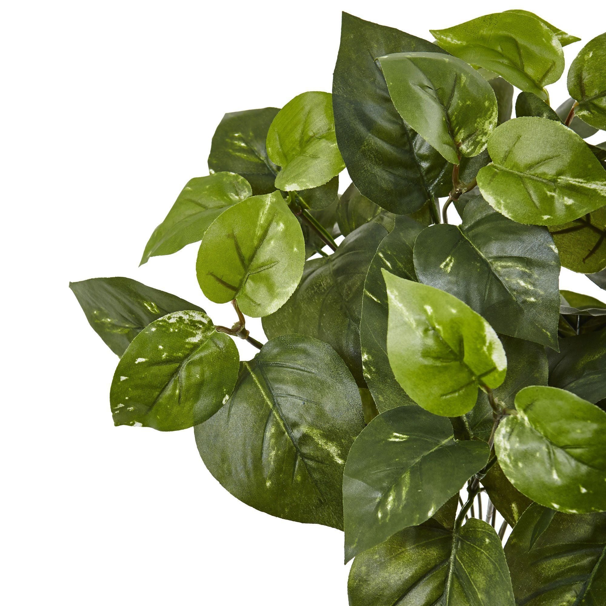 16” Pothos Artificial Plant (Set of 6) - Image 2