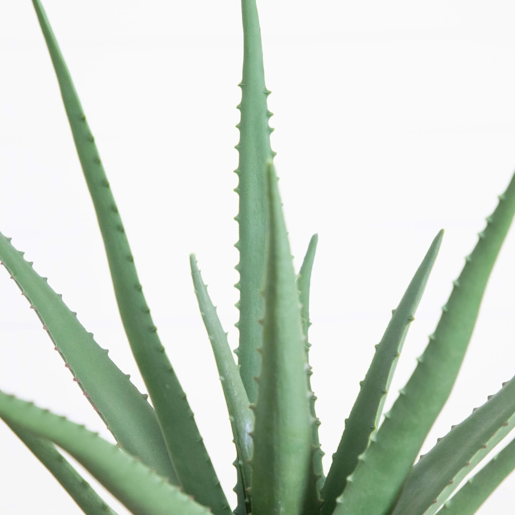 17.5" Artificial Agave Plant - Image 2