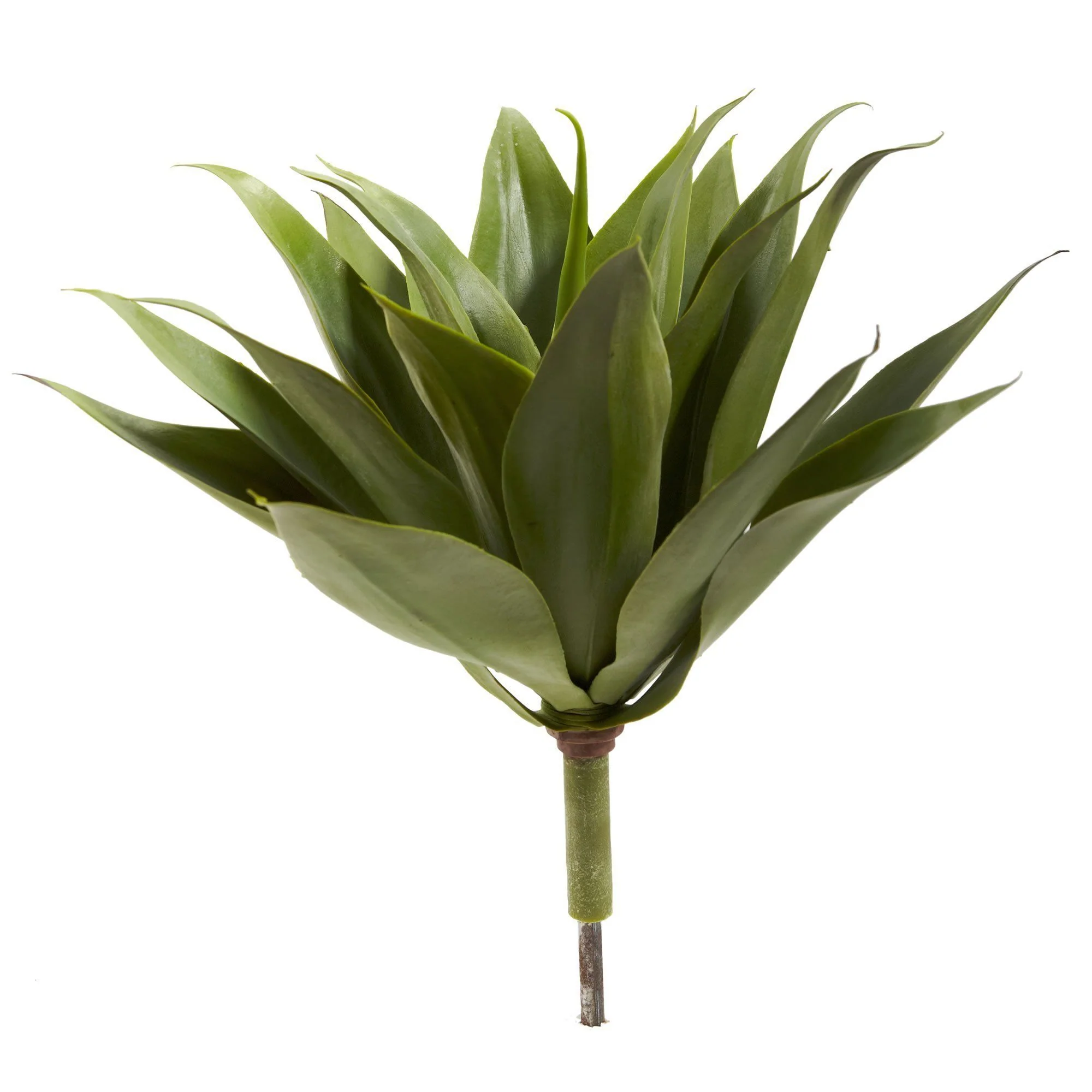 17” Agave Succulent Plant (Set of 2) - Image 3