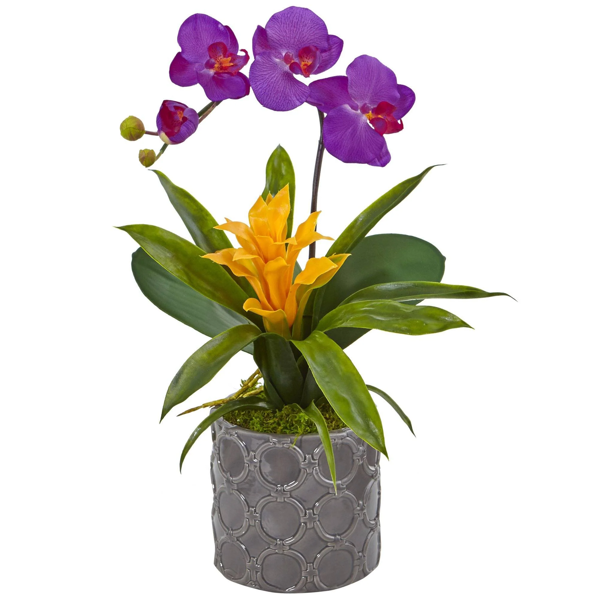Mini Phalaenopsis Orchid and Bromeliad in Gray Vase - Image 3