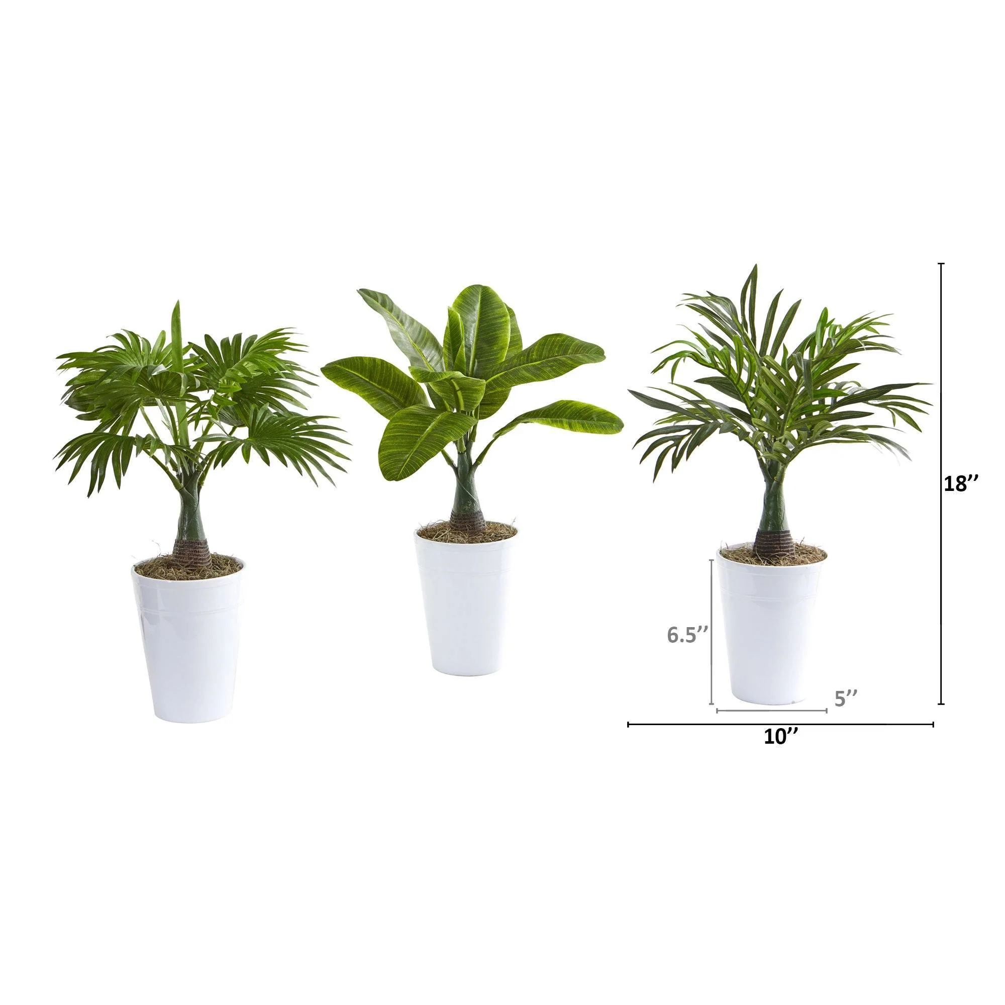 18” Assorted Mini Palm and Banana Artificial Plant in White Planter (Set of 3) - Image 2