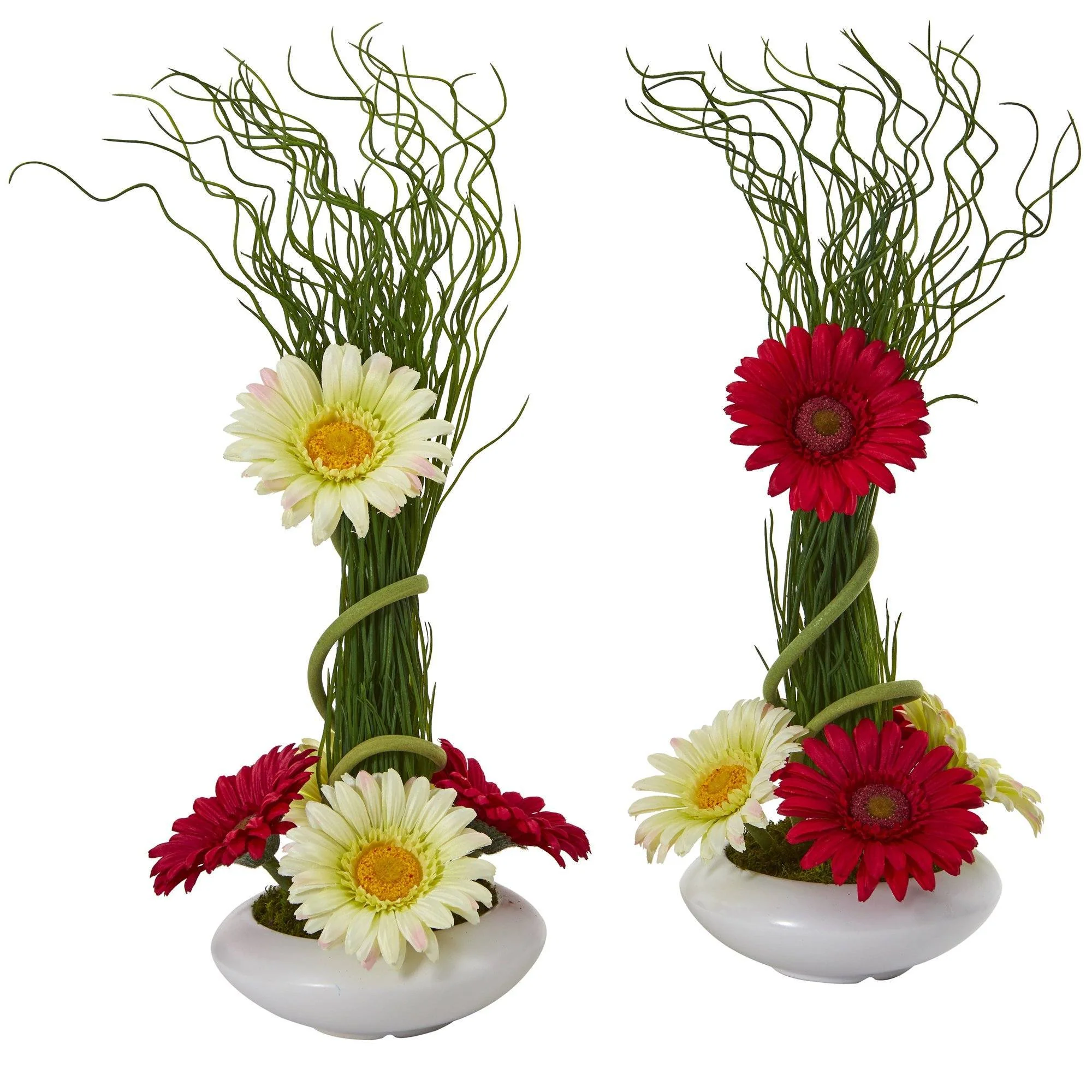 18” Gerber Daisy and Grass Arrangement in Vase (Set of 2) - Image 5