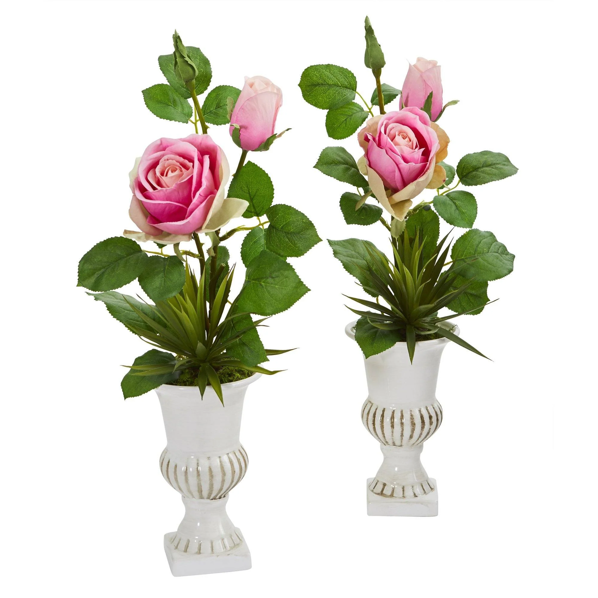 18” Rose and Agave Arrangement in White Urn (Set of 2) - Image 2