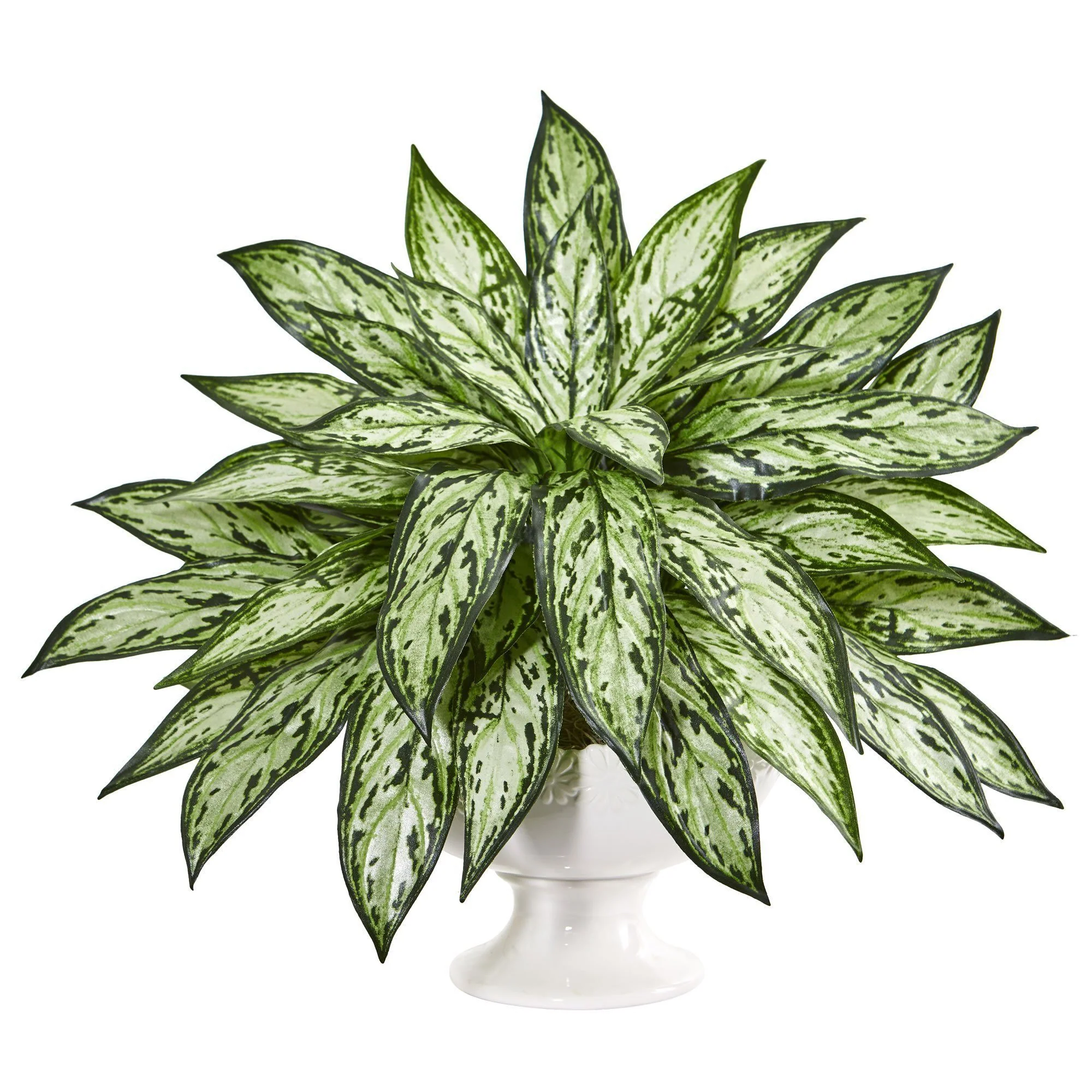 18” Silver Queen Artificial Plant in White Pedestal