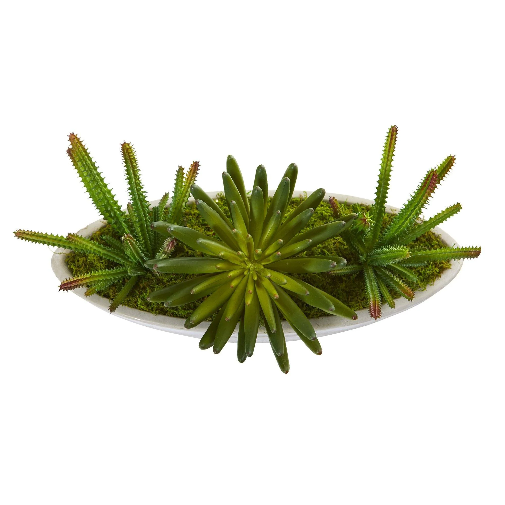 18” Succulent Artificial Plant in Decorative Planter - Image 3