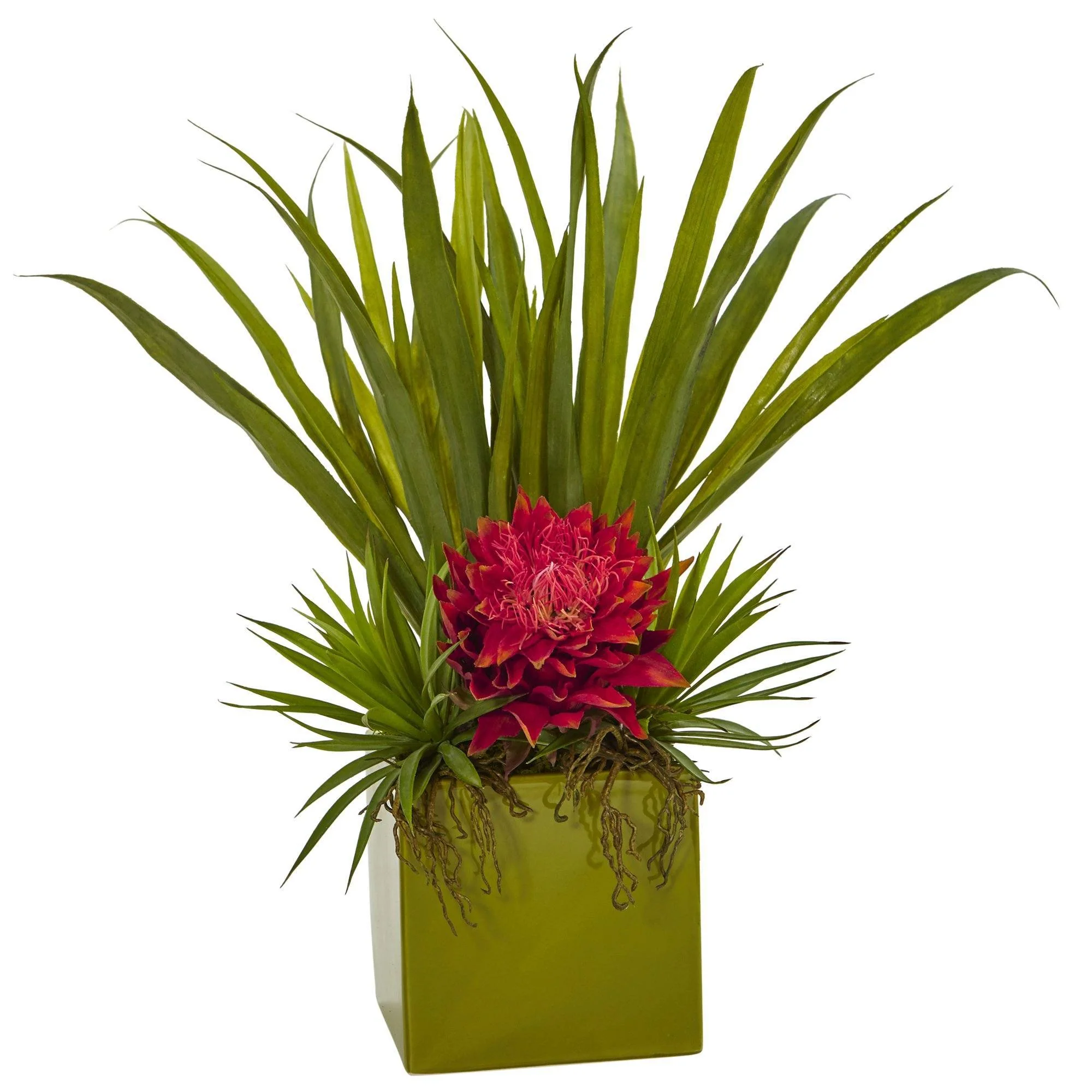Tropical And Succulent Arrangement - Image 2