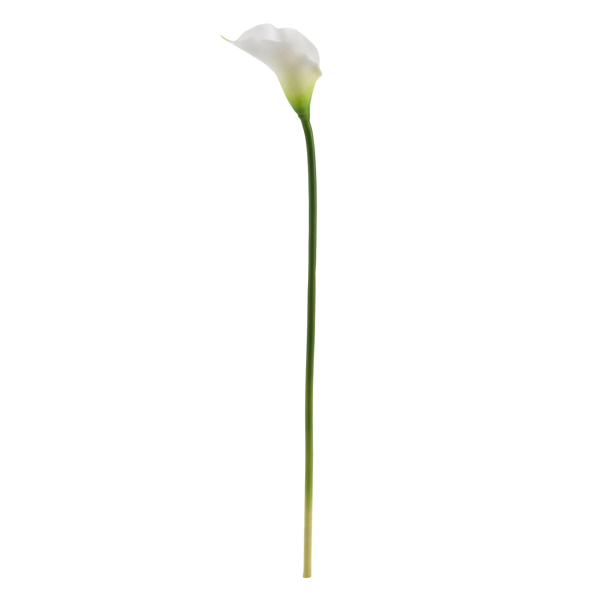 19.5” Calla Lily Artificial Flower (Set of 12) - Image 2