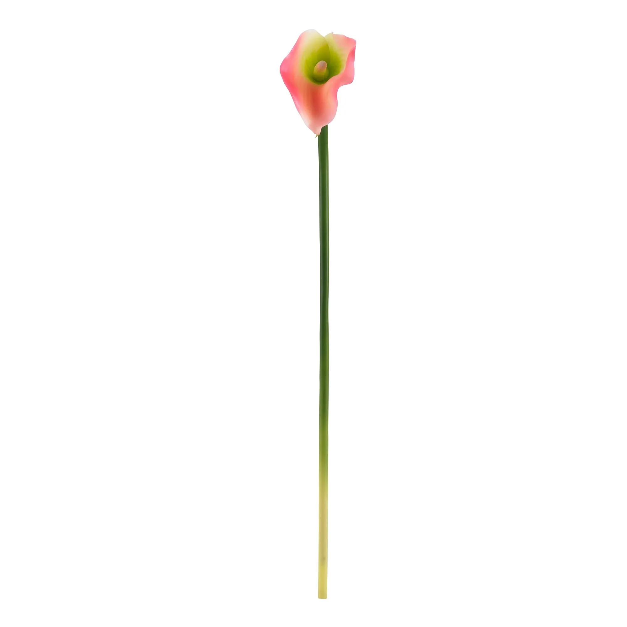 19.5” Calla Lily Artificial Flower (Set of 12) - Image 3