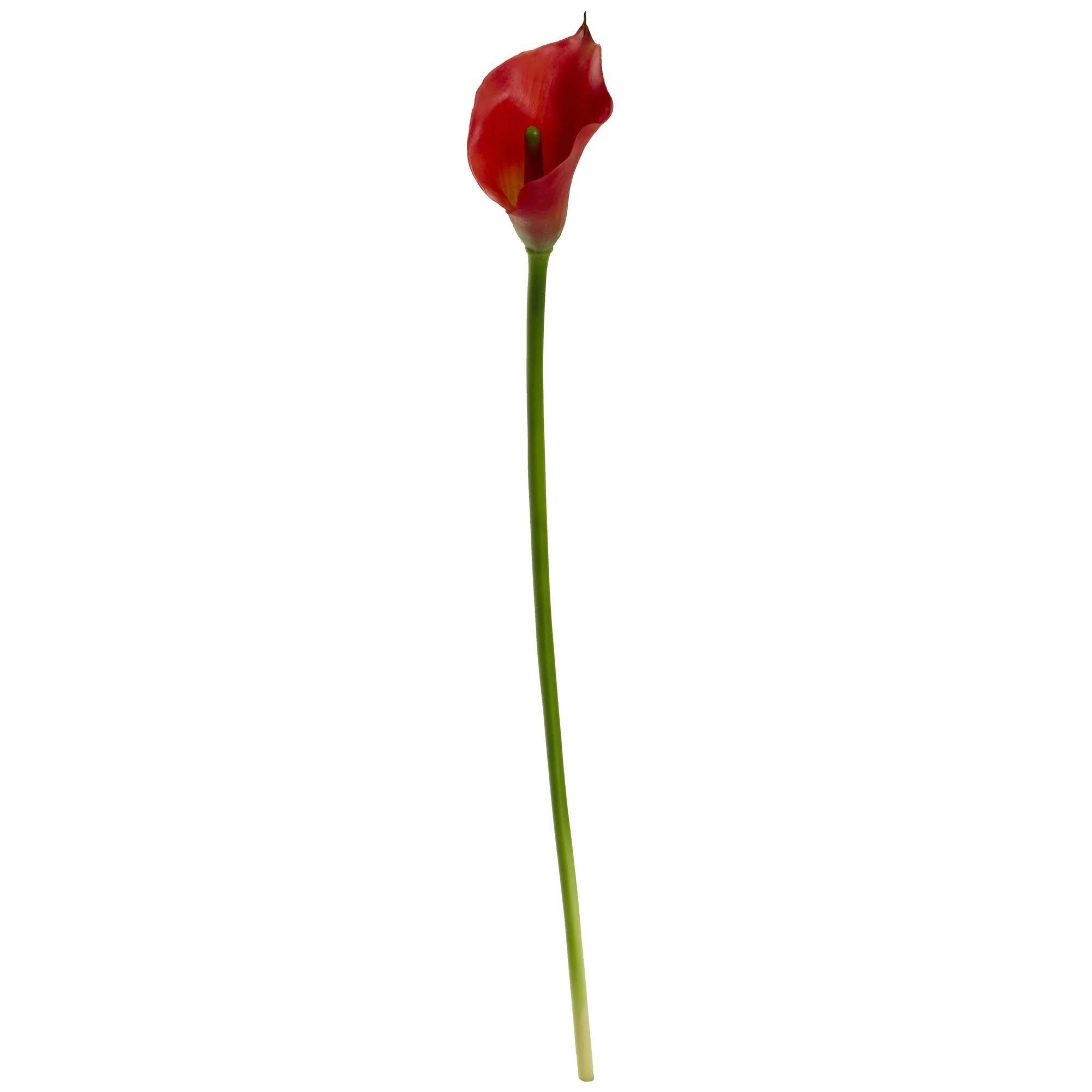 19.5” Calla Lily Artificial Flower (Set of 12) - Image 5