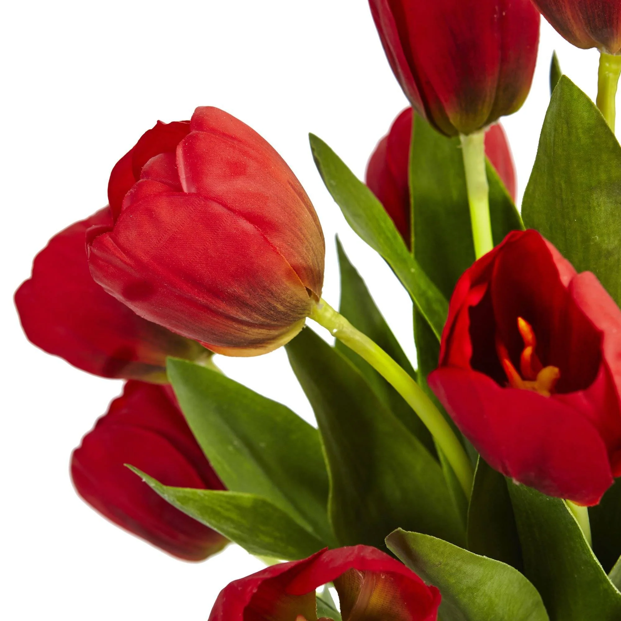 Tulips in Black Glossy Cylinder - Image 2