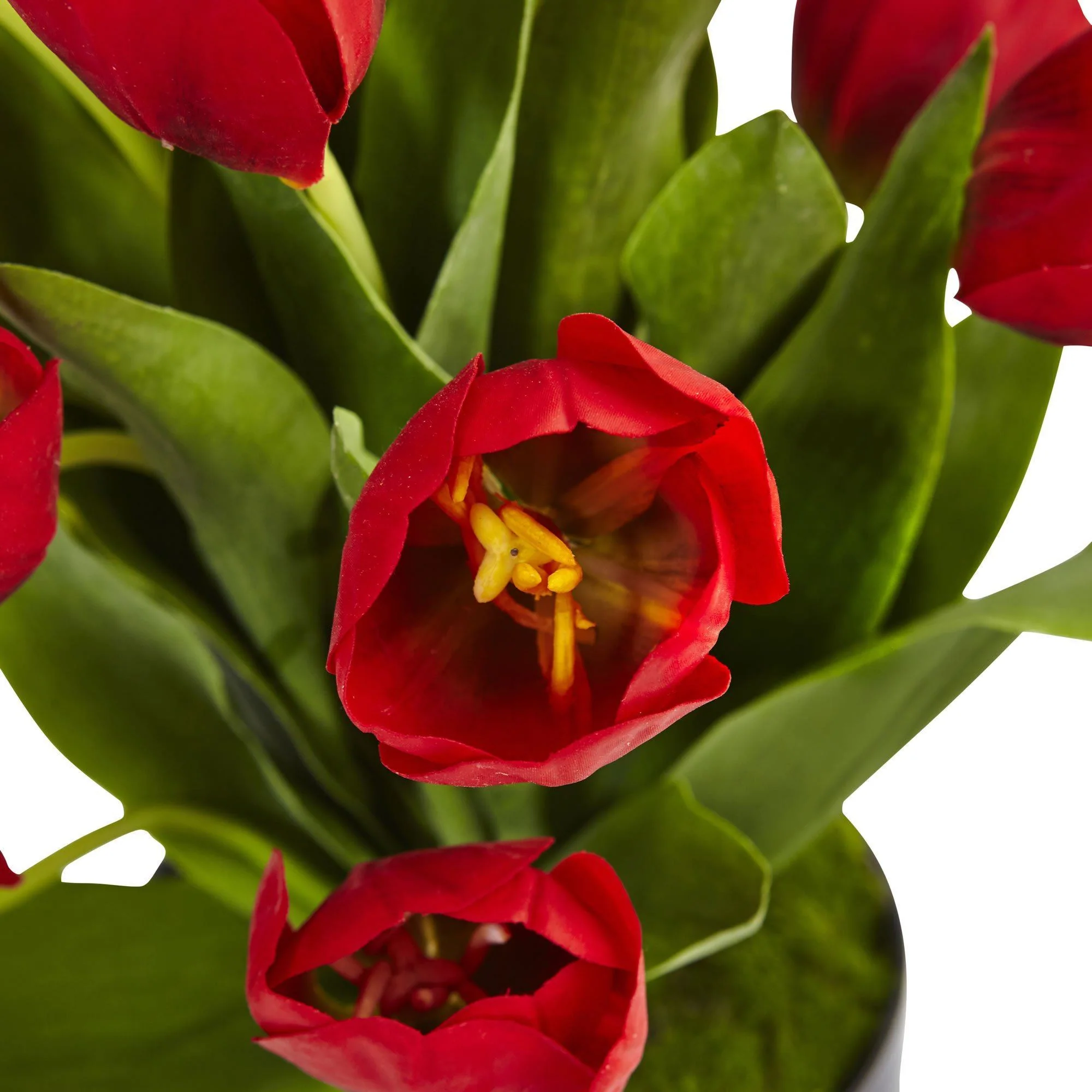 Tulips in Black Glossy Cylinder - Image 3