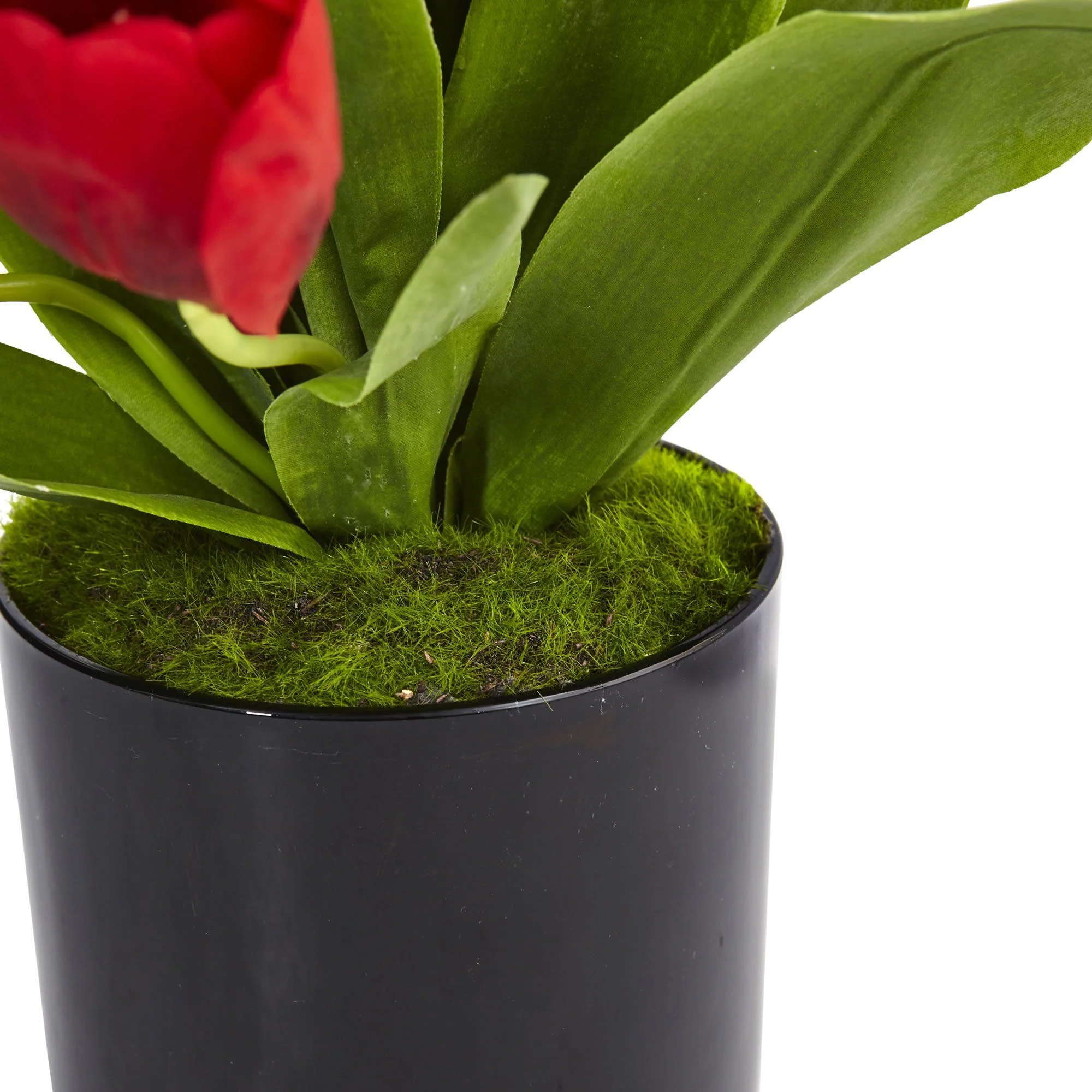 Tulips in Black Glossy Cylinder - Image 4