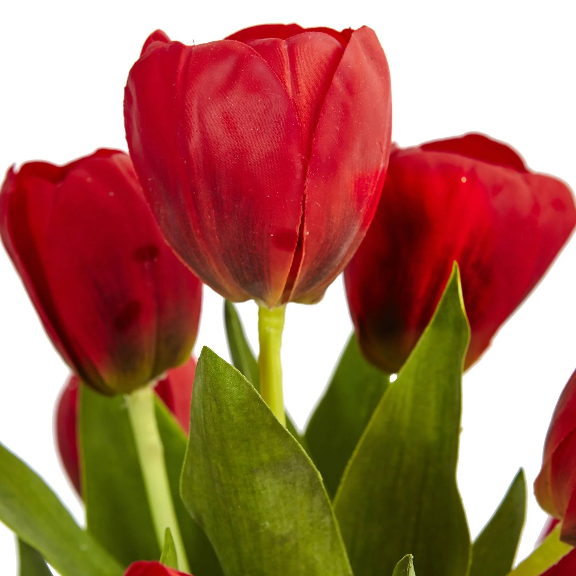 Tulips in Black Glossy Cylinder - Image 5