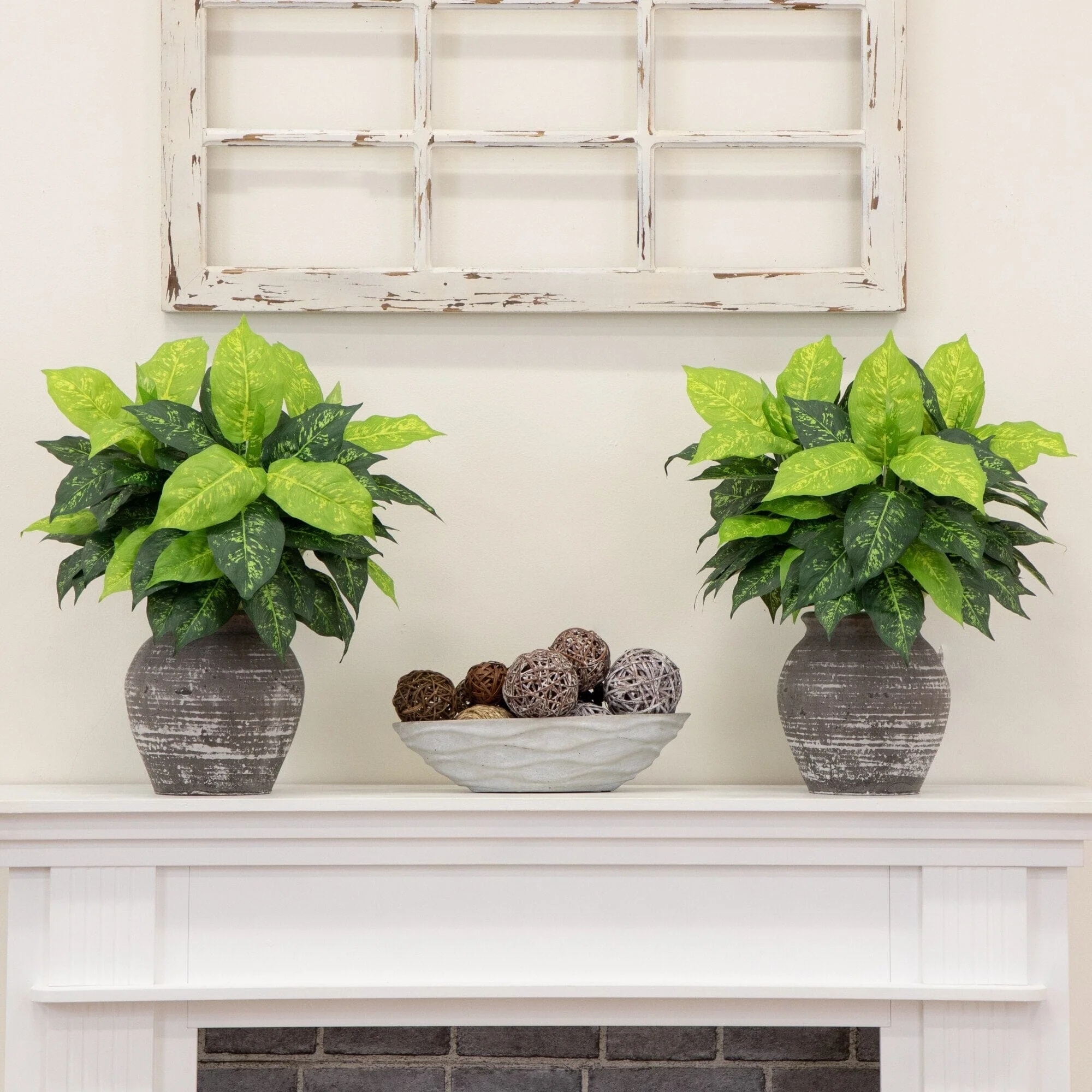 19” Artificial Dieffenbachia Plant - Set of 6 - Image 4