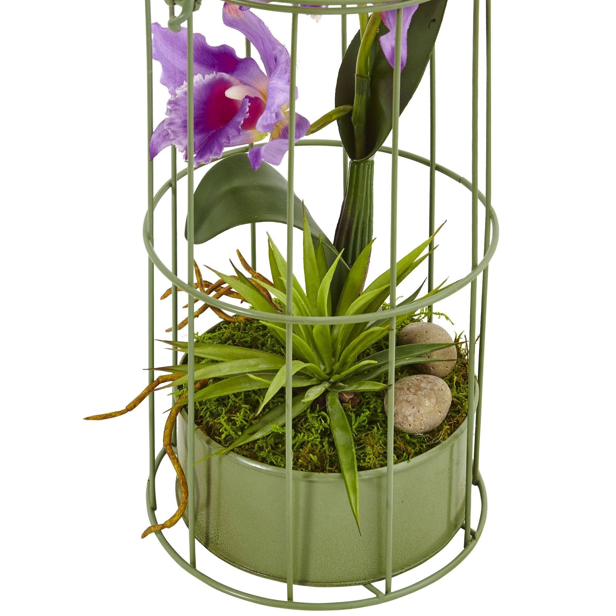 Cattleya Orchid Arrangement in Bird Cage - Image 2