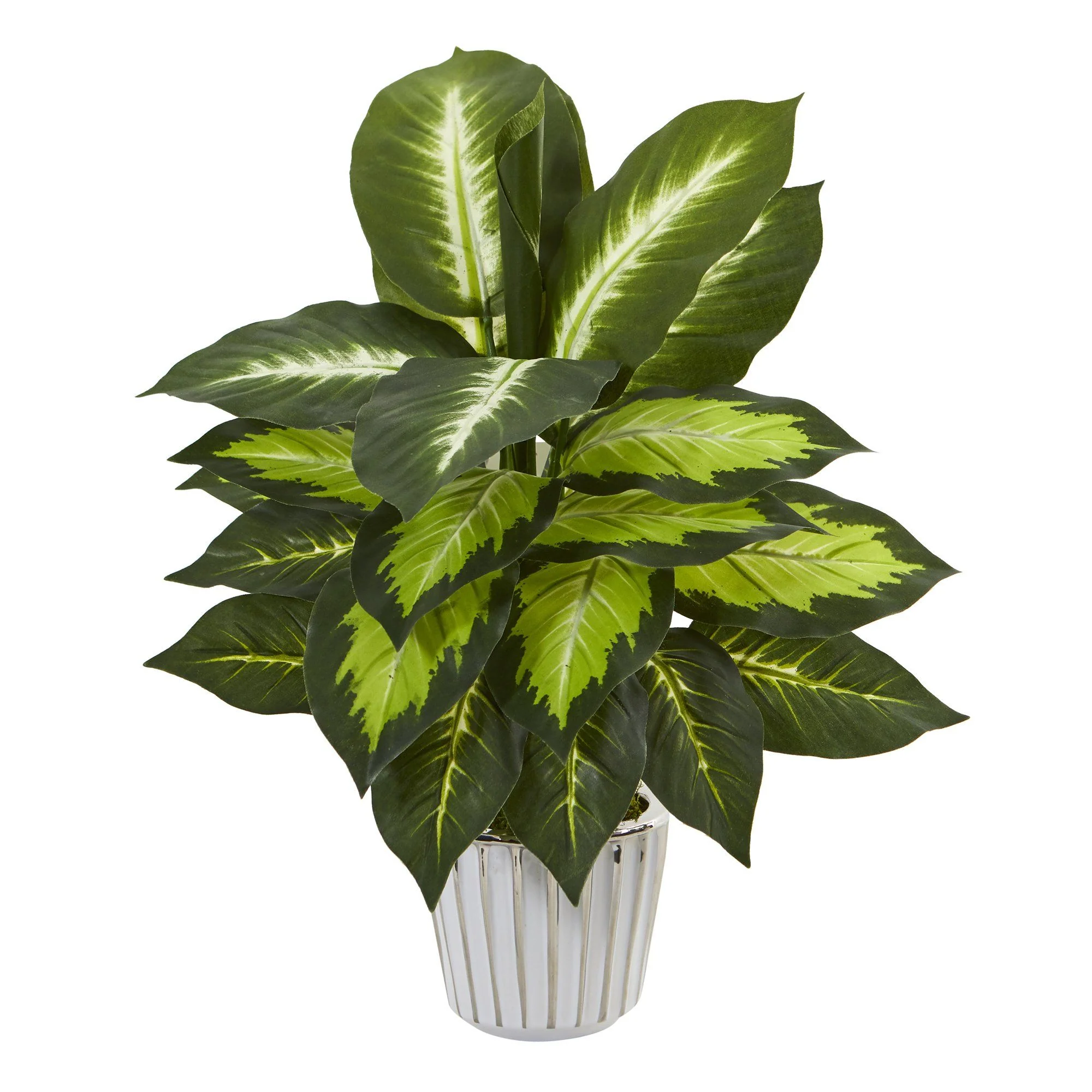 19” Dieffenbachia Artificial Plant in White Vase (Set of 2) - Image 3