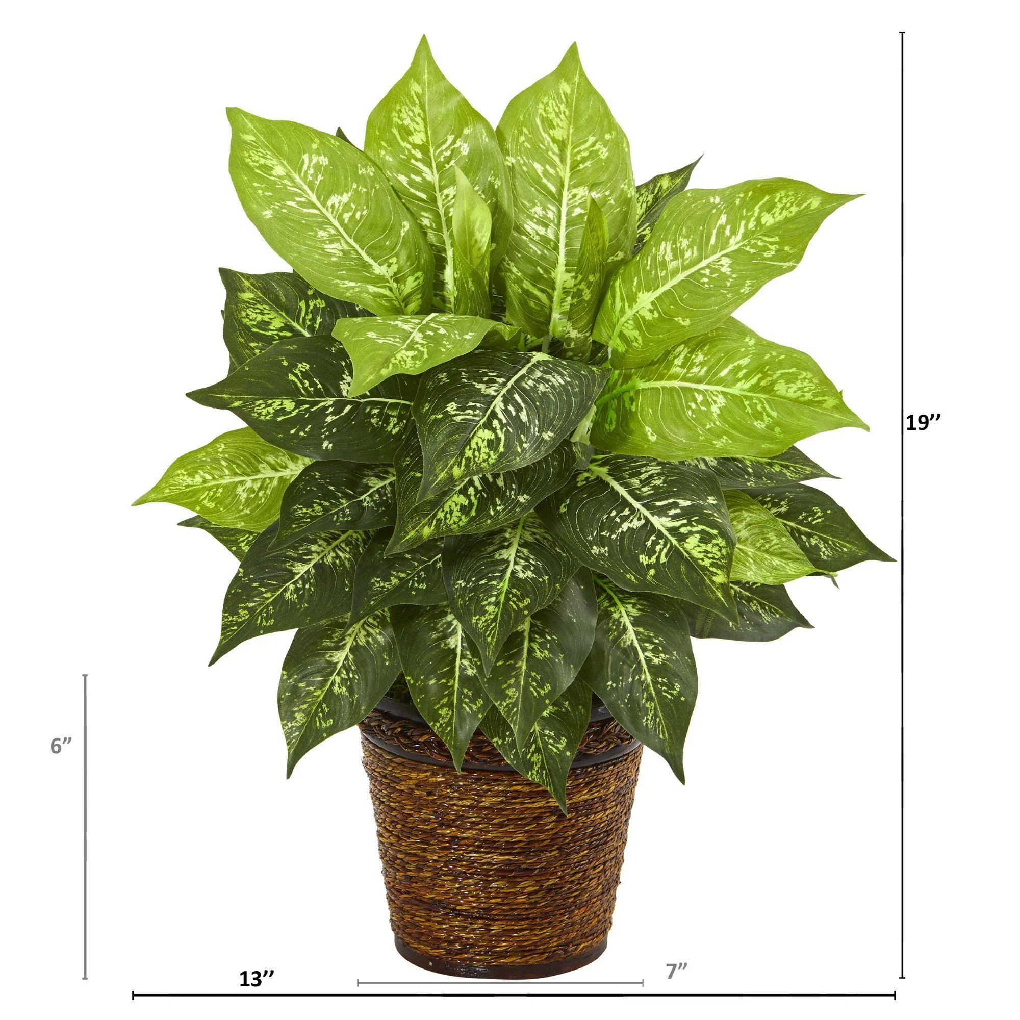 19” Diffenbachia Artificial Plant in Basket - Image 2