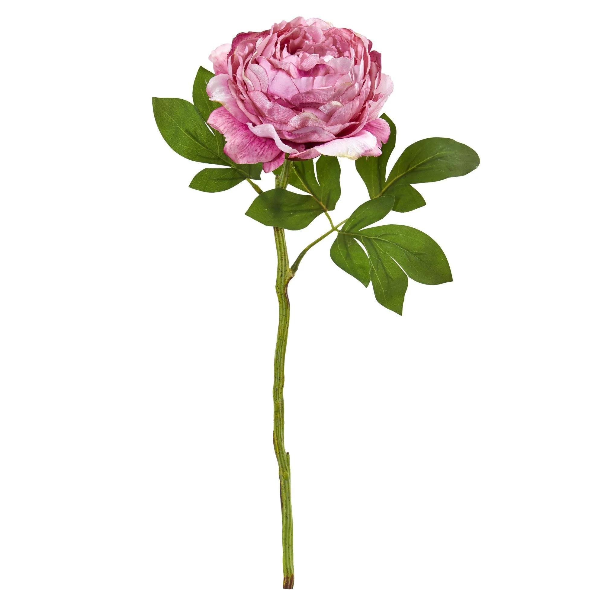 19” Peony Artificial Flower (Set of 6) - Image 2