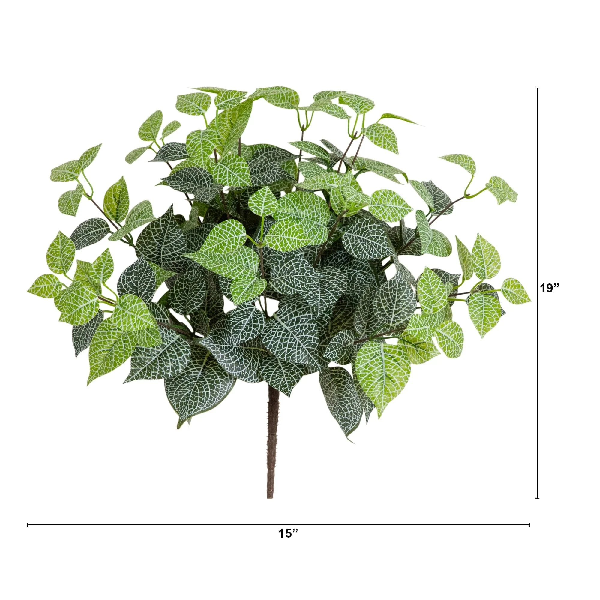 19" UV Resistant Artificial Fittonia Bush (Indoor/Outdoor) - Set of 3 - Image 5