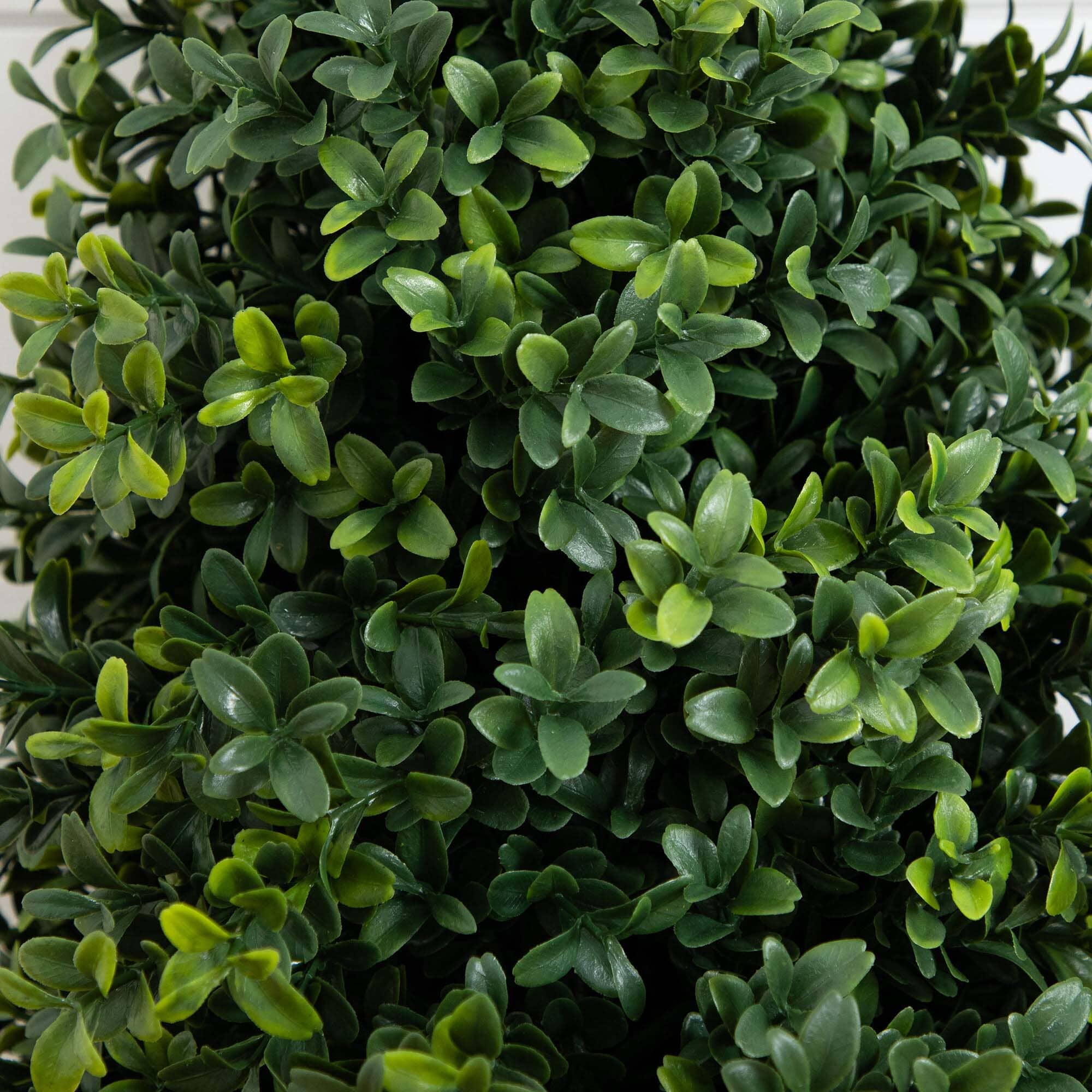 2.5' UV Resistant Artificial Boxwood Plant with Integrated Ground Stake (Indoor/Outdoor) - Set of 2 - Image 2