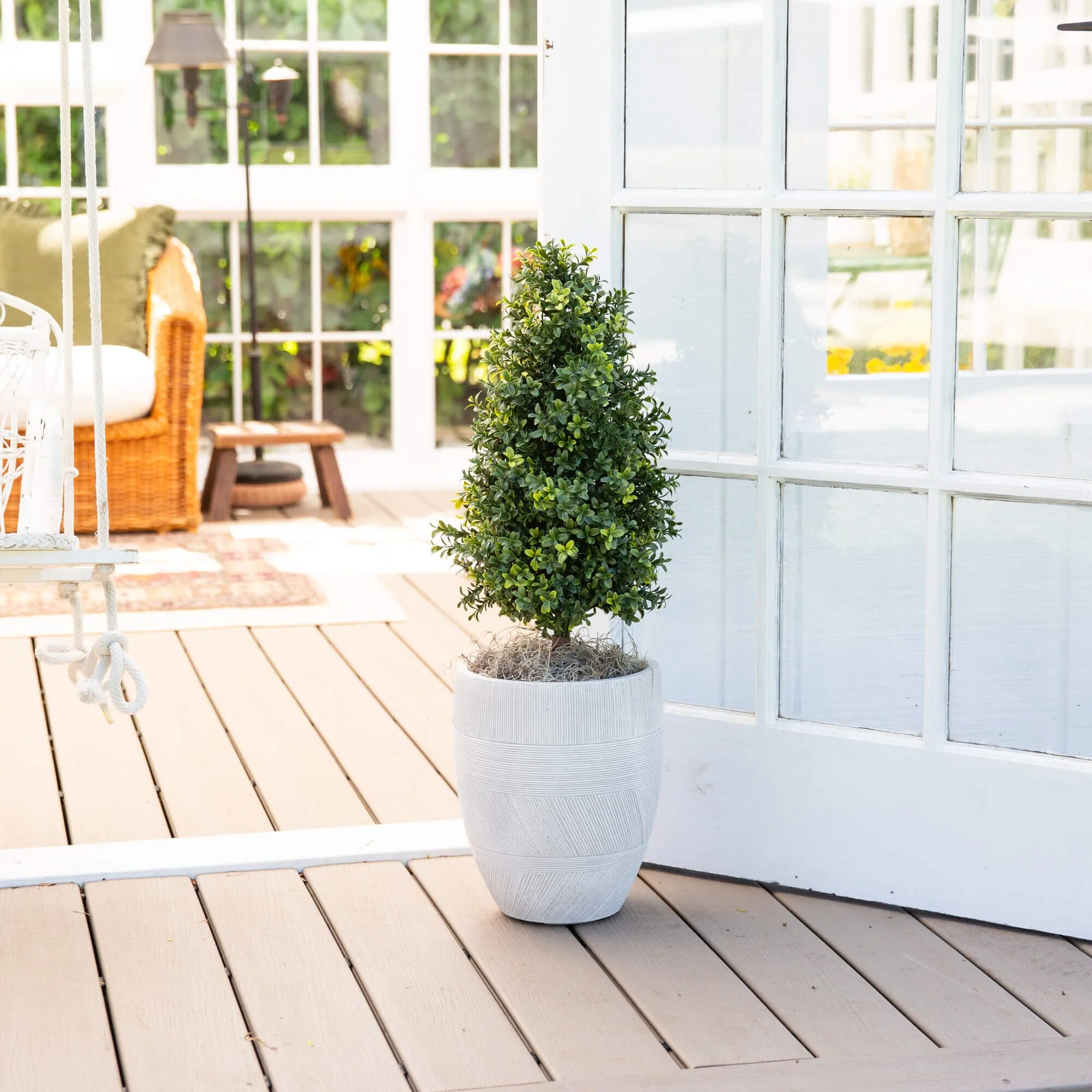 2.5' UV Resistant Artificial Boxwood Plant with Integrated Ground Stake (Indoor/Outdoor) - Set of 2 - Image 4