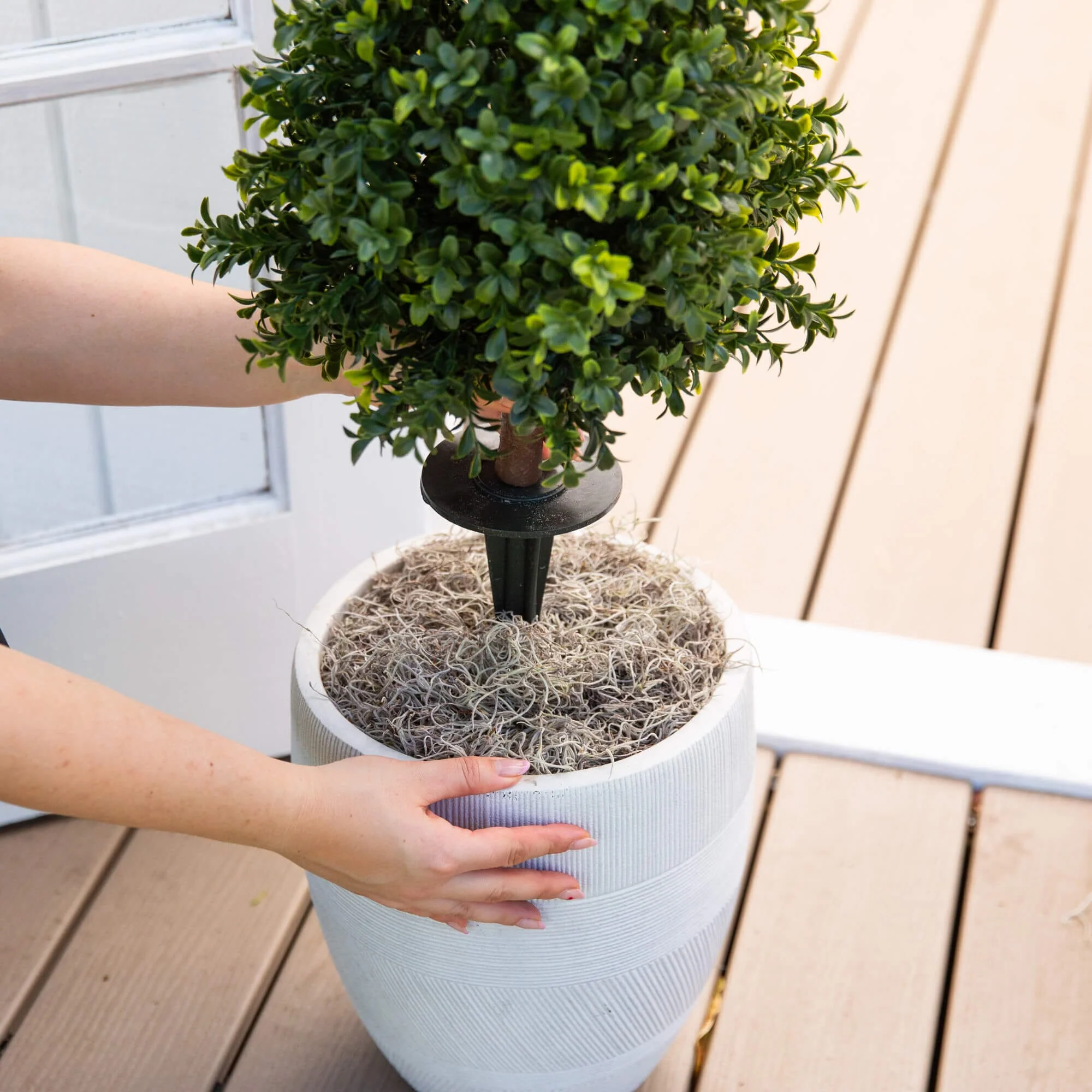 2.5' UV Resistant Artificial Boxwood Plant with Integrated Ground Stake (Indoor/Outdoor) - Set of 2 - Image 6