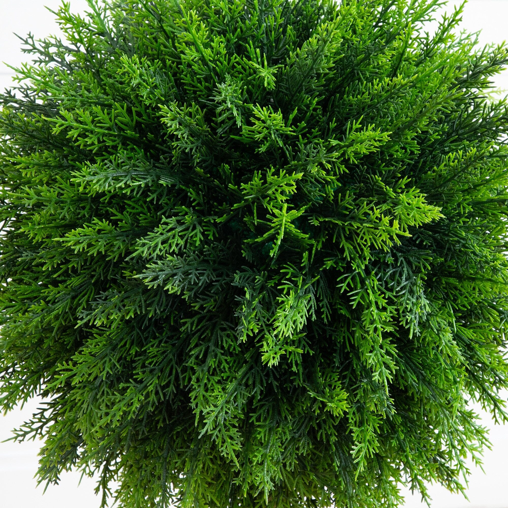 2.5’ UV Resistant Artificial Cedar Ball Topiary Tree in White Decorative Planter (Indoor/Outdoor) - Image 2