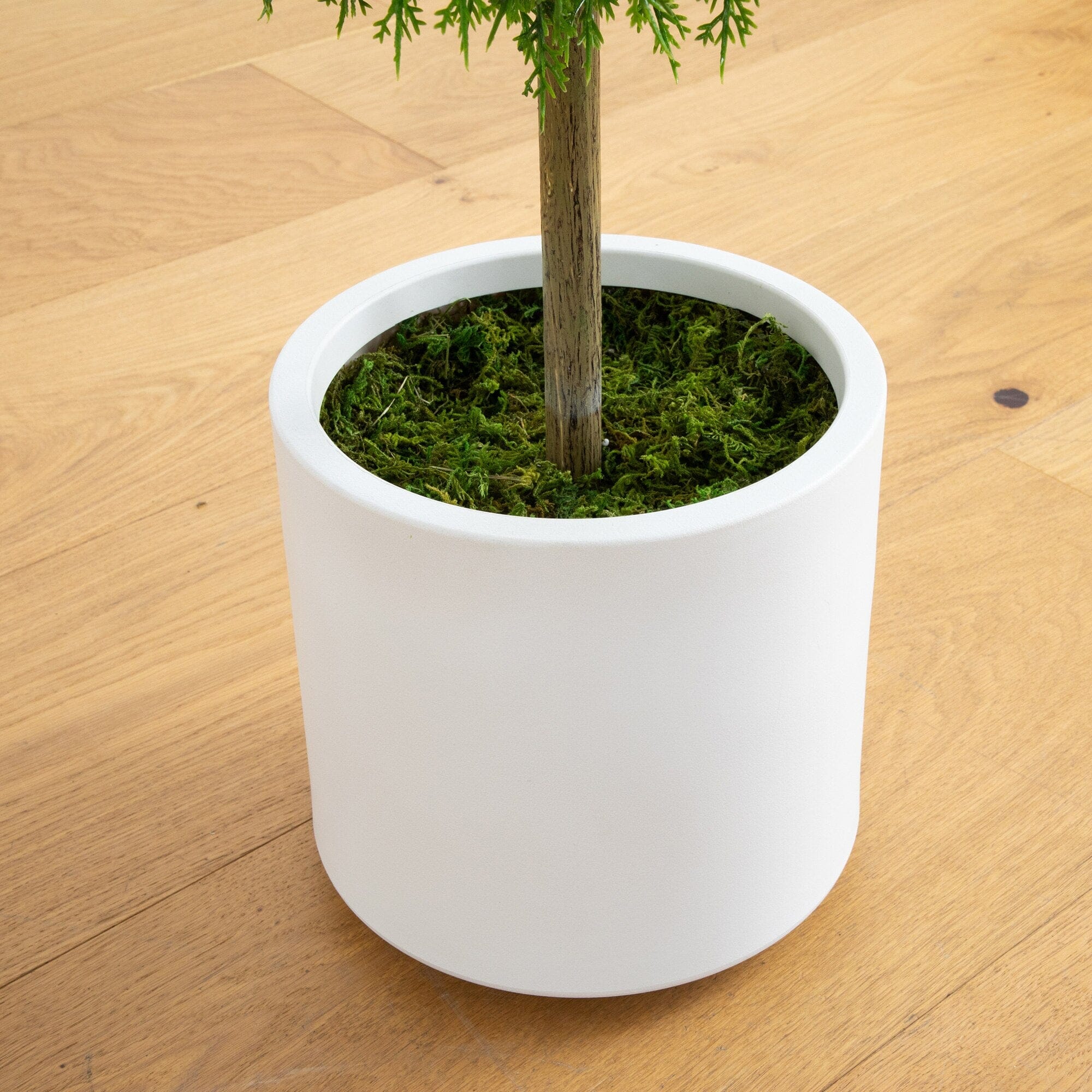 2.5’ UV Resistant Artificial Cedar Ball Topiary Tree in White Decorative Planter (Indoor/Outdoor) - Image 4