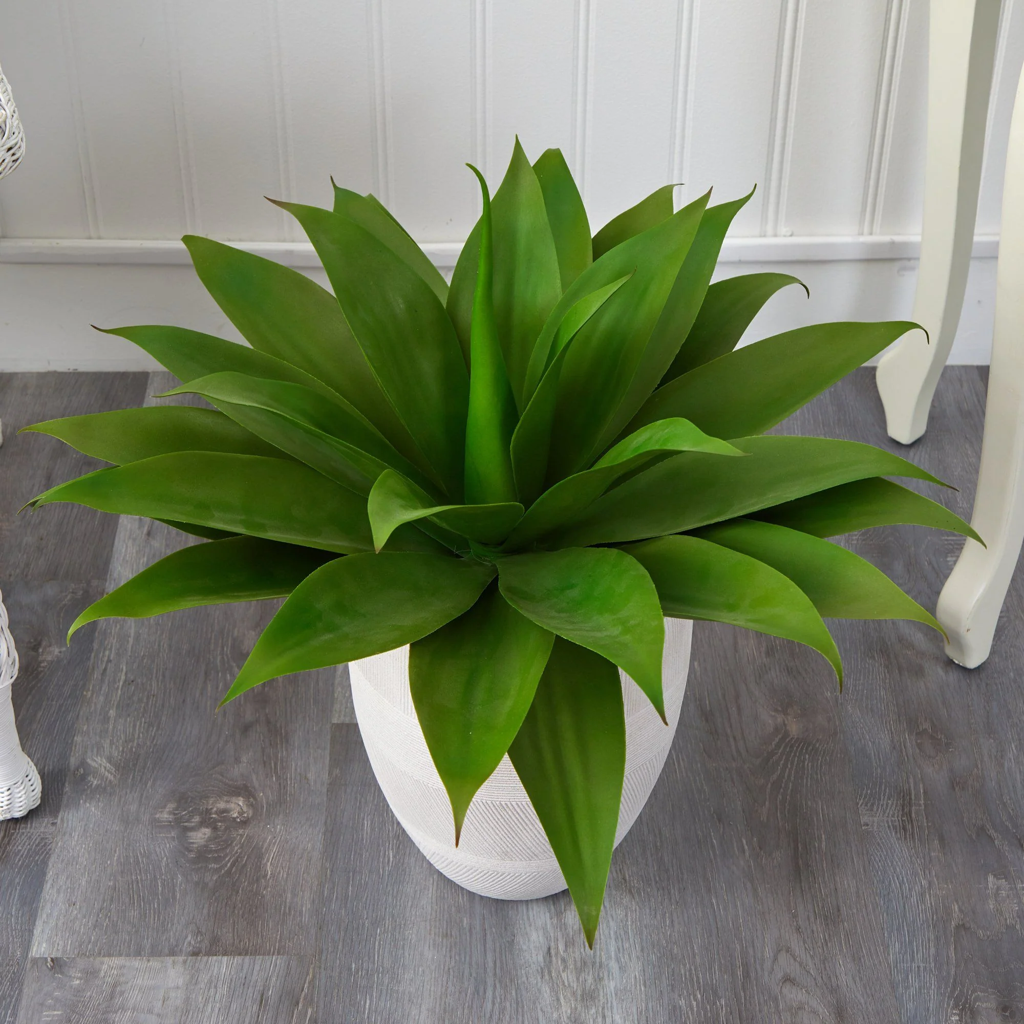 2’ Agave Succulent Artificial Plant in White Planter - Image 3