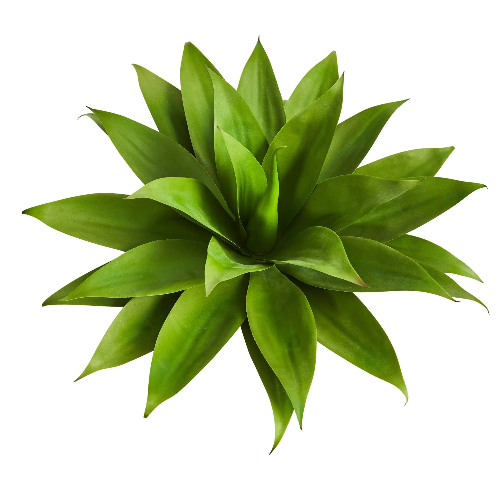 2’ Agave Succulent Artificial Plant in White Planter - Image 5