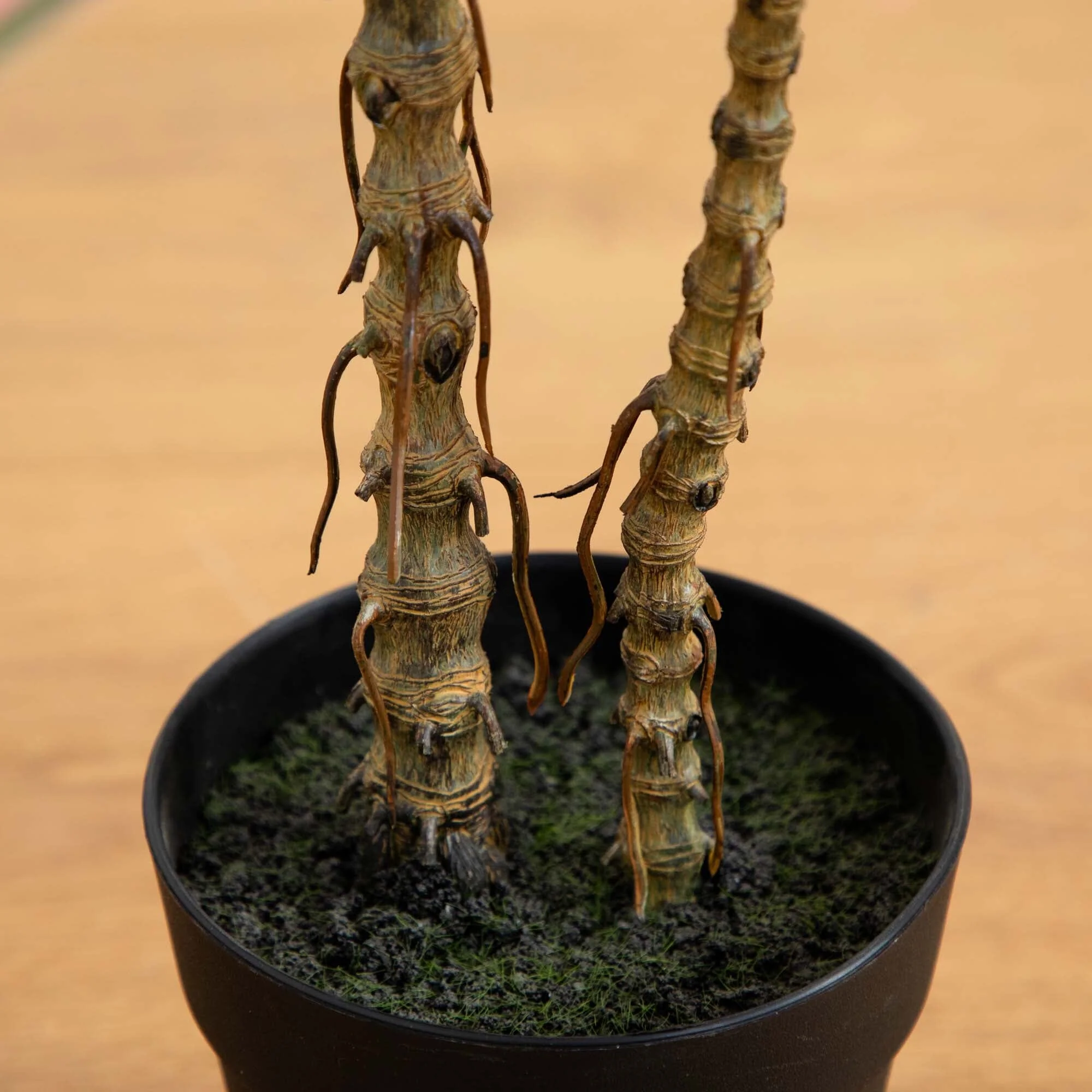 2’ Artificial Dracaena Marginata Plant - Image 4