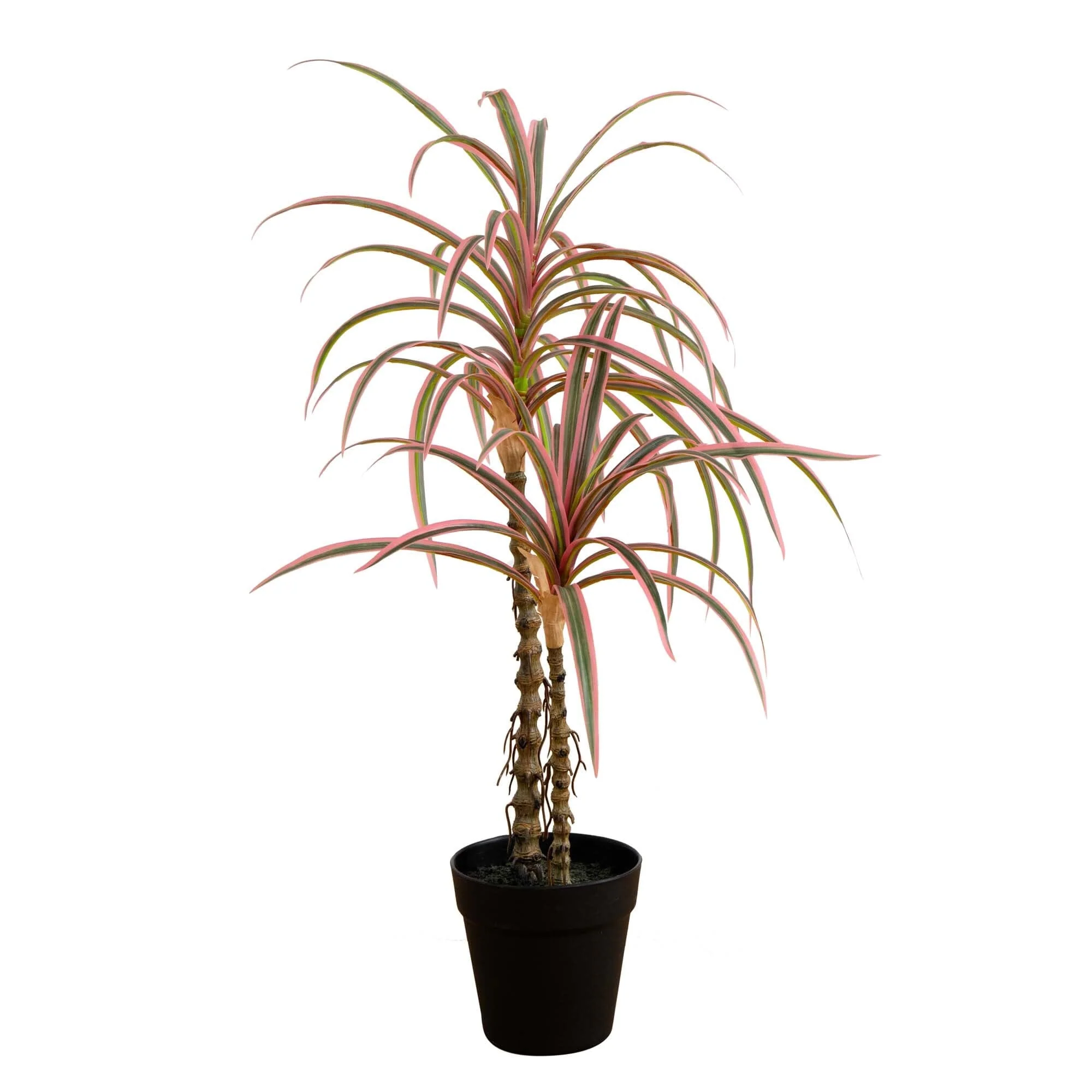 2’ Artificial Dracaena Marginata Plant - Image 5